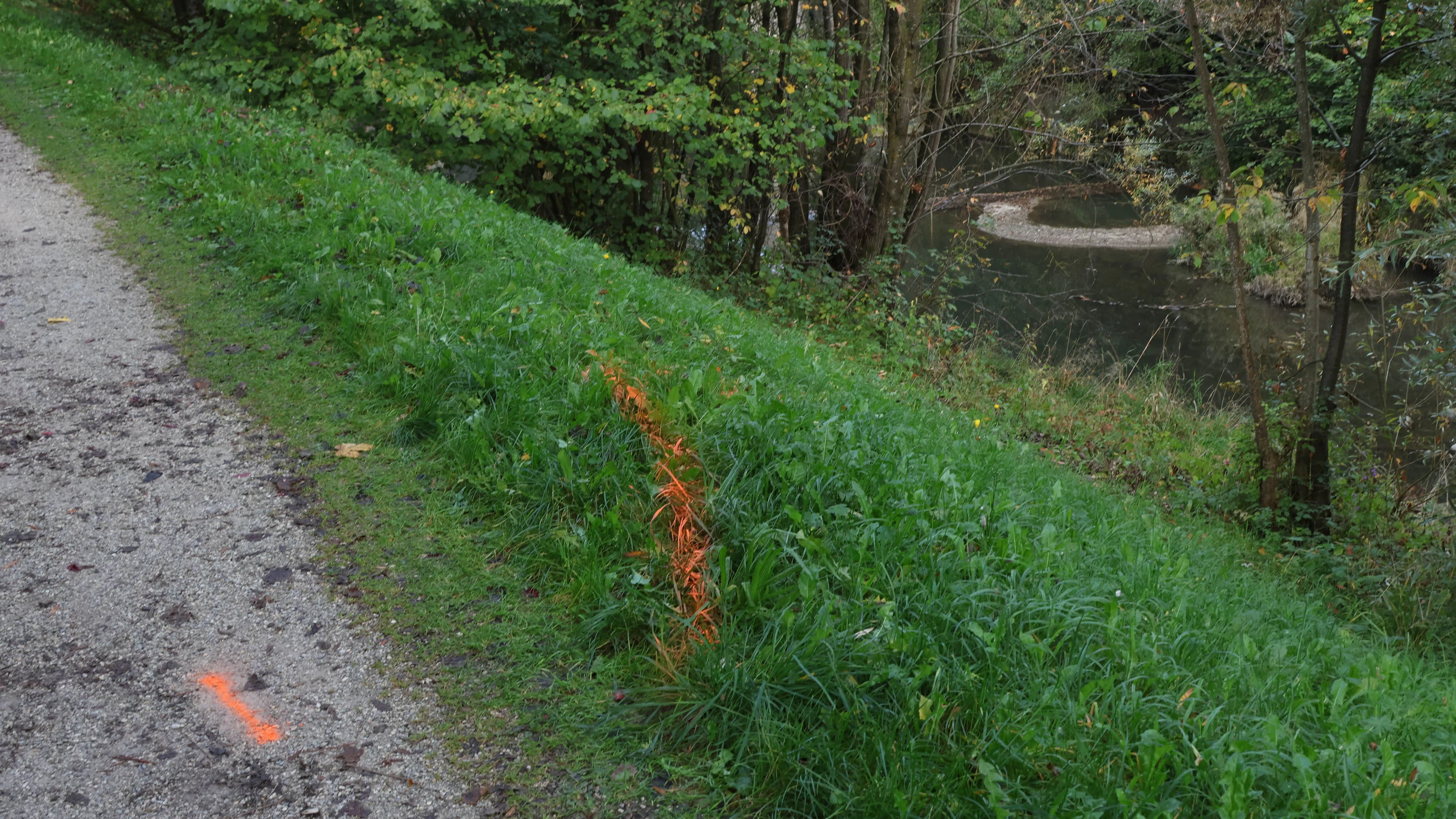 Hier stürzte der 63-Jährige, bevor in der Trattnach landete.