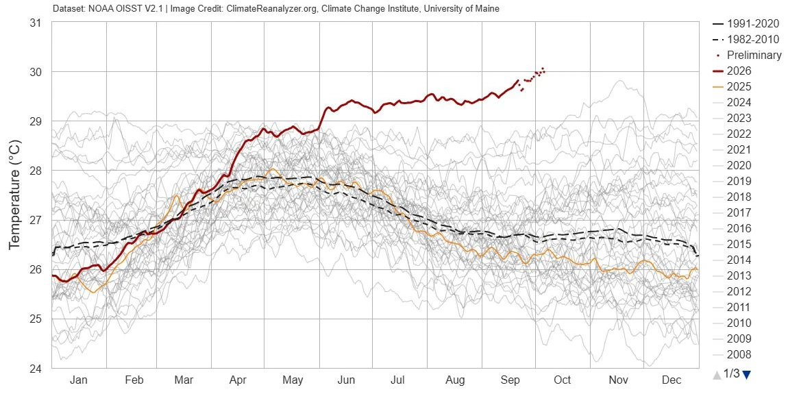Tägliche Meeresoberflächentemperatur in der Niño-3.4-Region