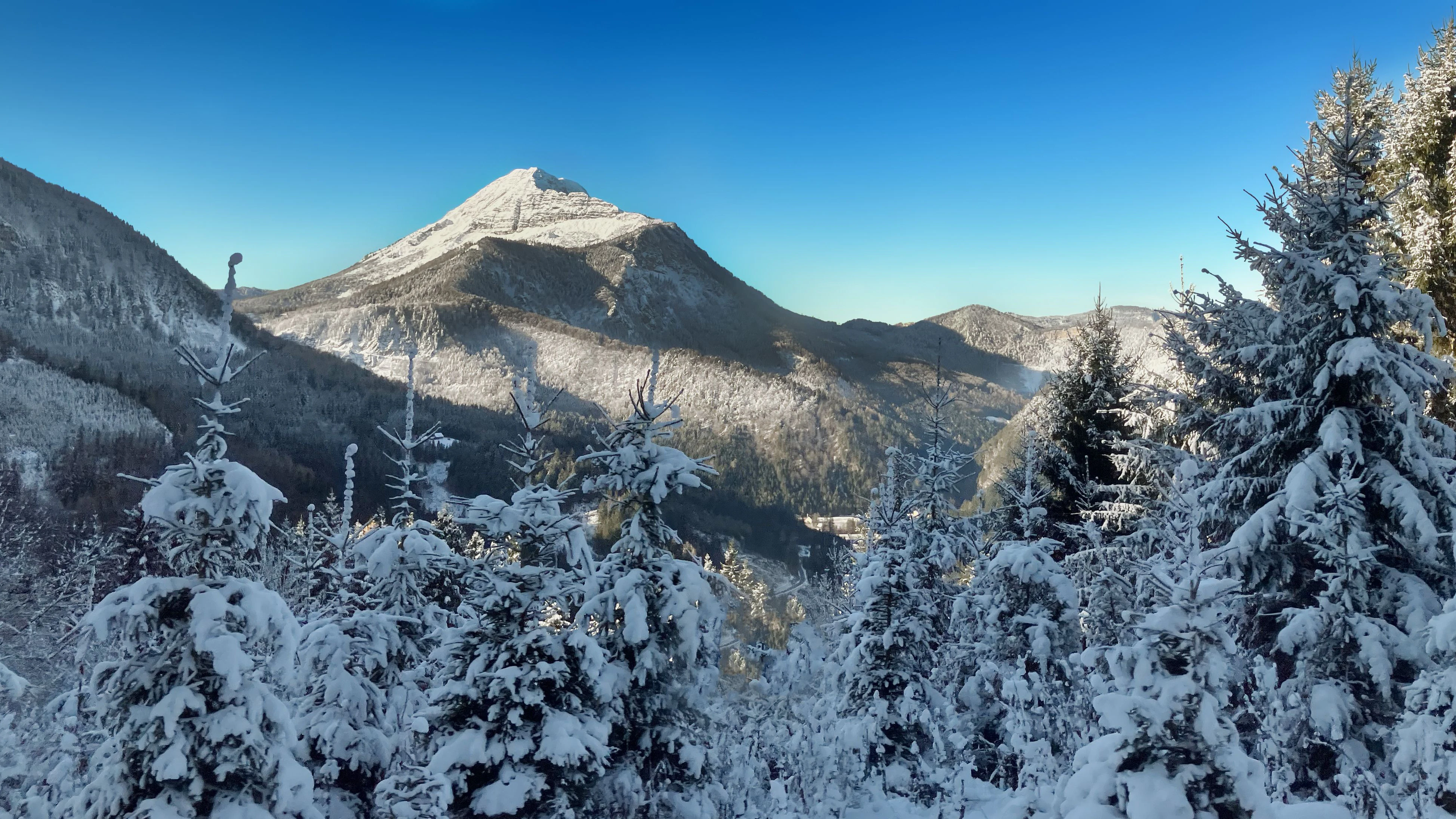 Winterlandschaft mit dem Gipfel des Ötscher.