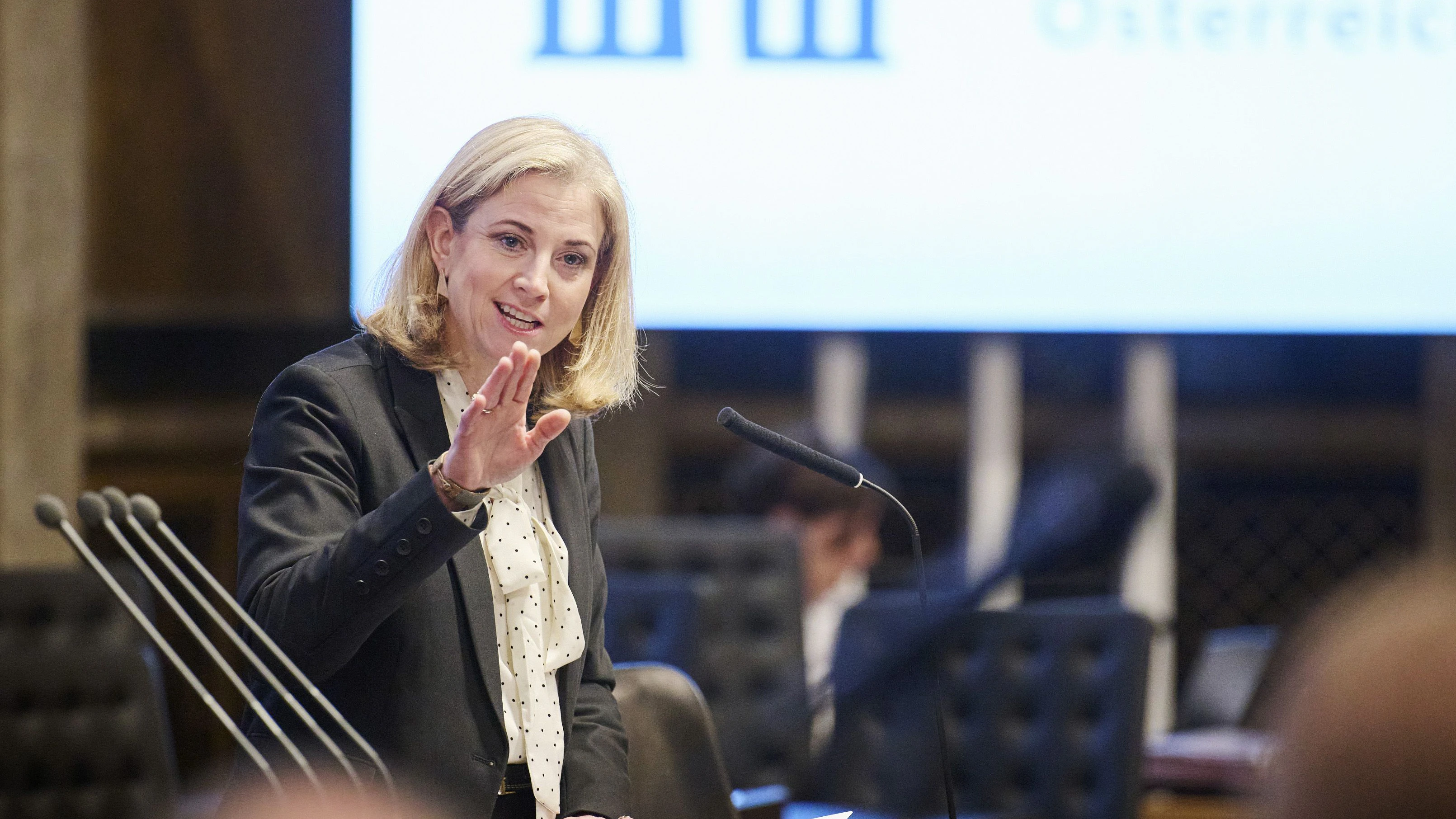 Am Rednerinnenpult Außenministerin Beate Meinl-Reisinger (NEOS)