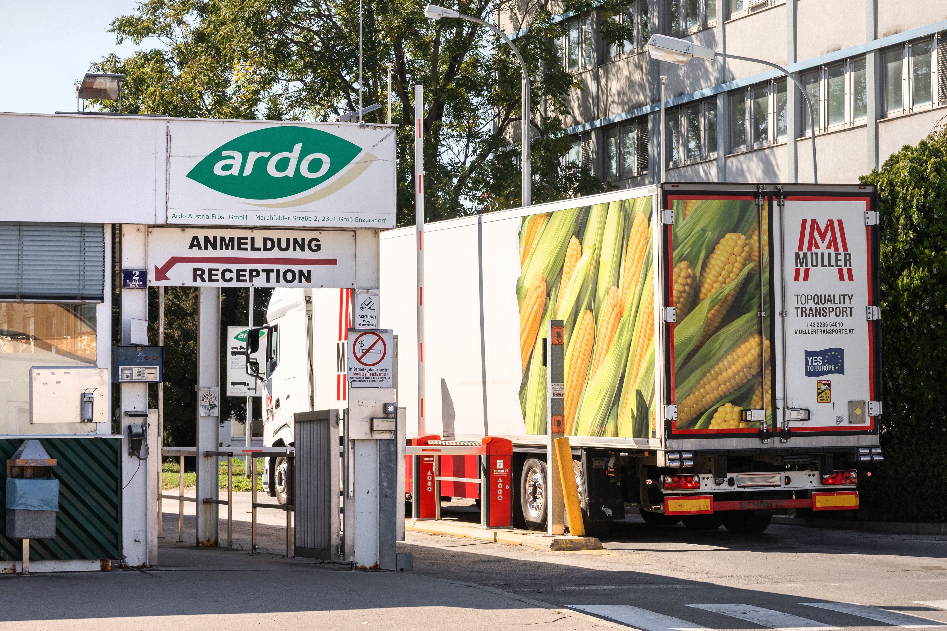 Die Ardo Austria Frost GmbH ist der wichtigste Tiefkühlkosthersteller in Groß-Enzersdorf im Marchfeld, Niederösterreich.