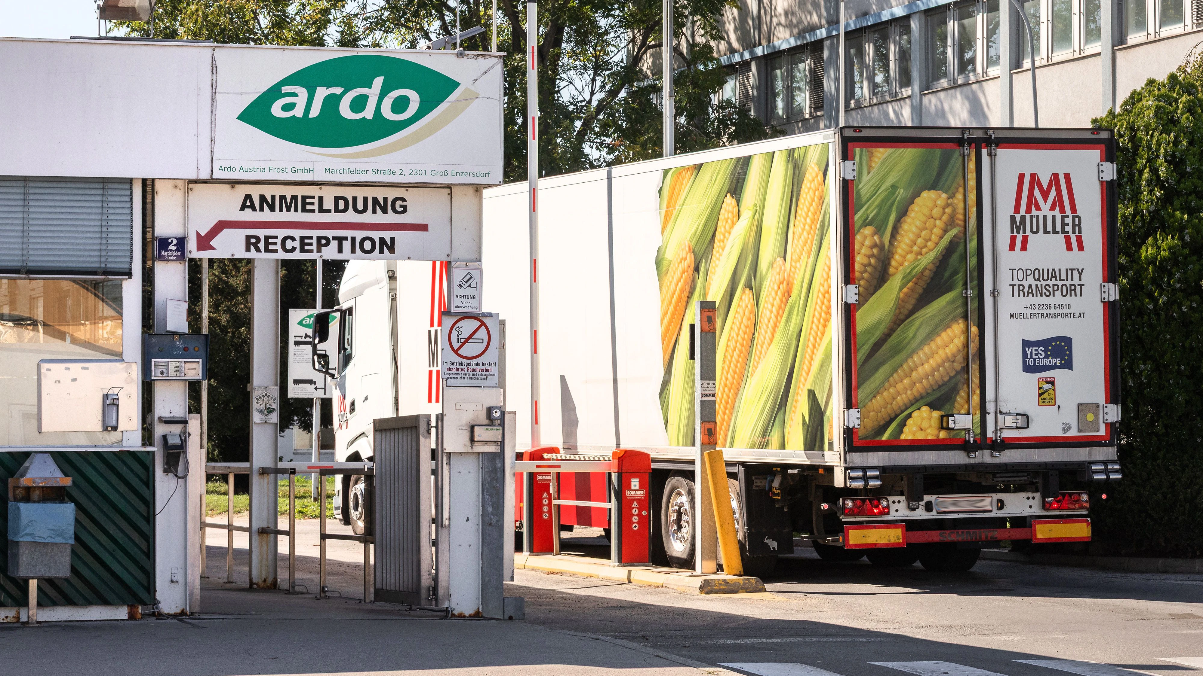 Die Ardo Austria Frost GmbH ist der wichtigste Tiefkühlkosthersteller in Groß-Enzersdorf im Marchfeld, Niederösterreich.