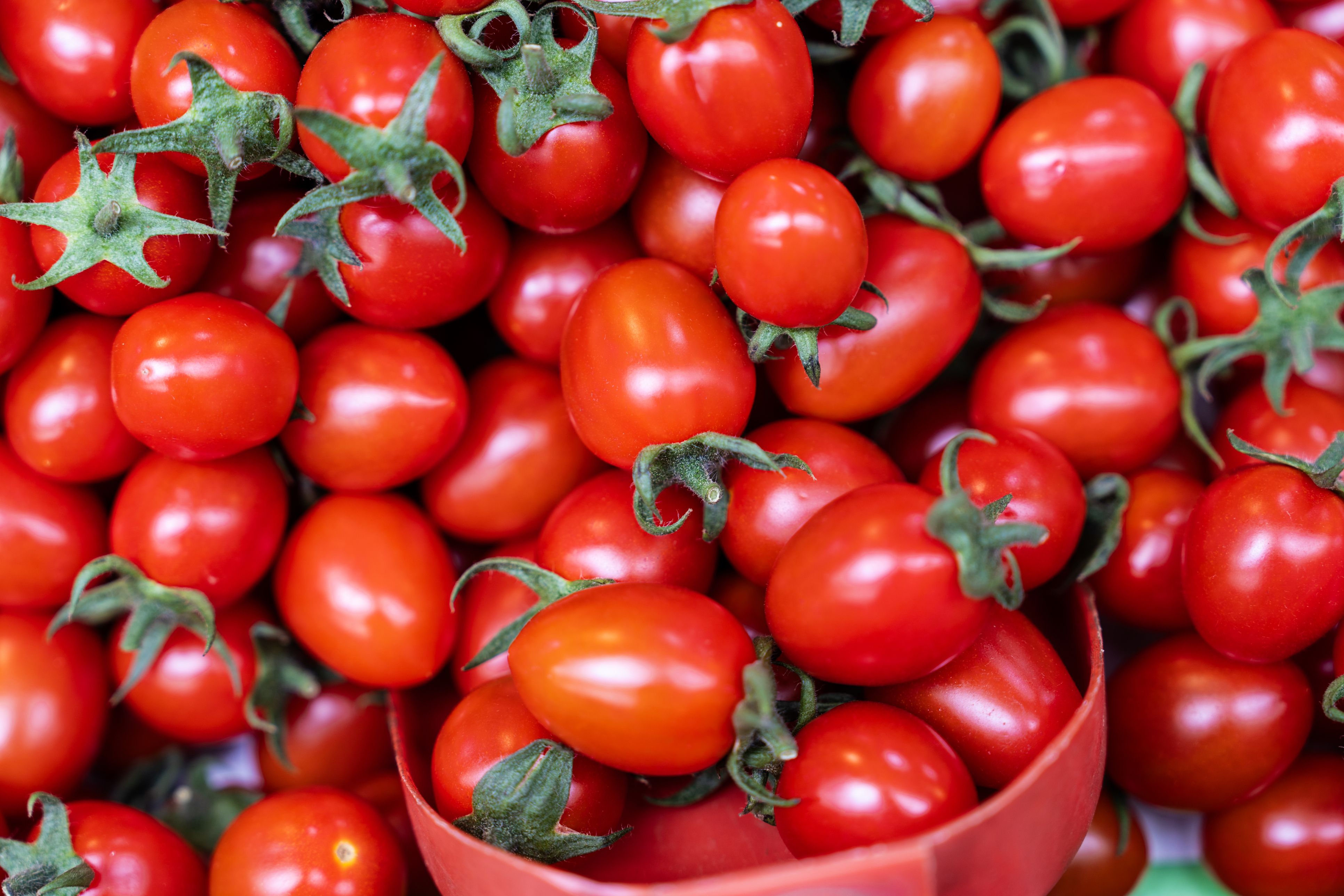 In Schulen, Krankenhäusern und Pflegeheimen in Foggia sind rohe Tomaten vorerst verboten.