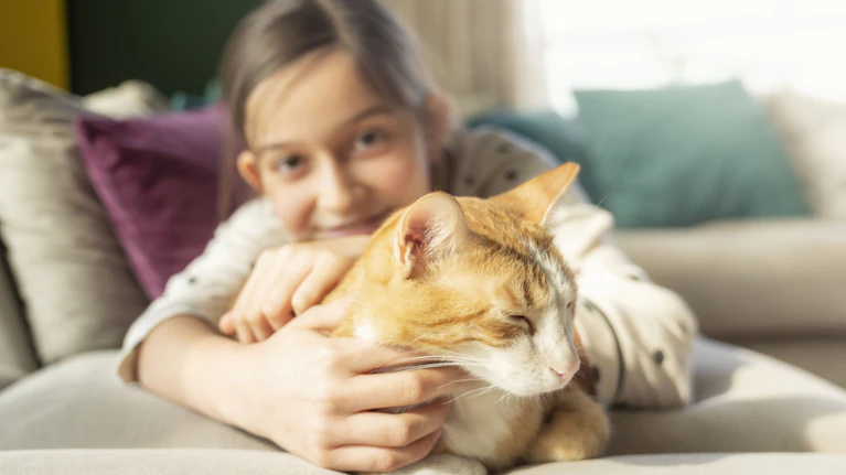 Mehr als zwei Millionen Katzen schnurren in Österreichs Haushalten, und in den meisten Fällen ist der Kontakt eng: kuscheln, streicheln, spielen, gemeinsam schlafen. Allerdings: jede 15. Hauskatze trägt einen Darmparasiten in sich, der auch Menschen anstecken kann.