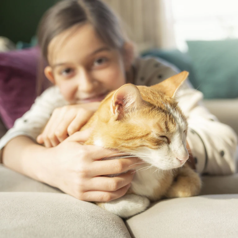 Mehr als zwei Millionen Katzen schnurren in Österreichs Haushalten, und in den meisten Fällen ist der Kontakt eng: kuscheln, streicheln, spielen, gemeinsam schlafen. Allerdings: jede 15. Hauskatze trägt einen Darmparasiten in sich, der auch Menschen anstecken kann.