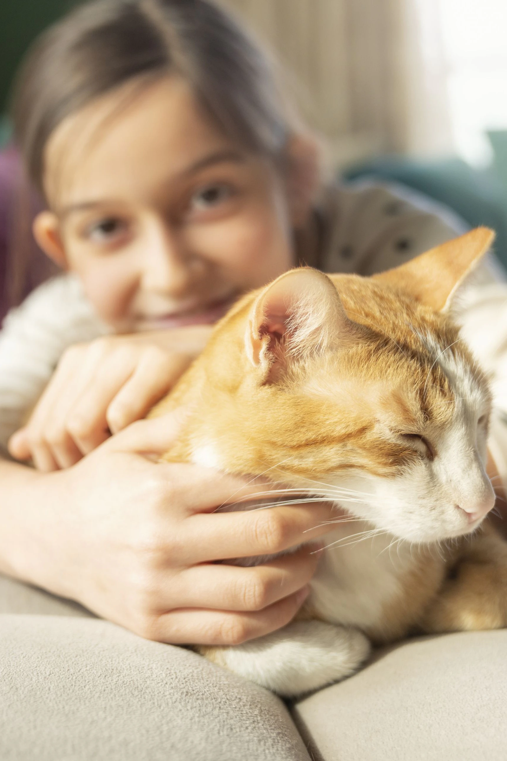 Mehr als zwei Millionen Katzen leben in Österreichs Haushalten - jede 15. trägt einen unangenehmen Darmparasiten in sich, den sie auf den Menschen übertragen kann