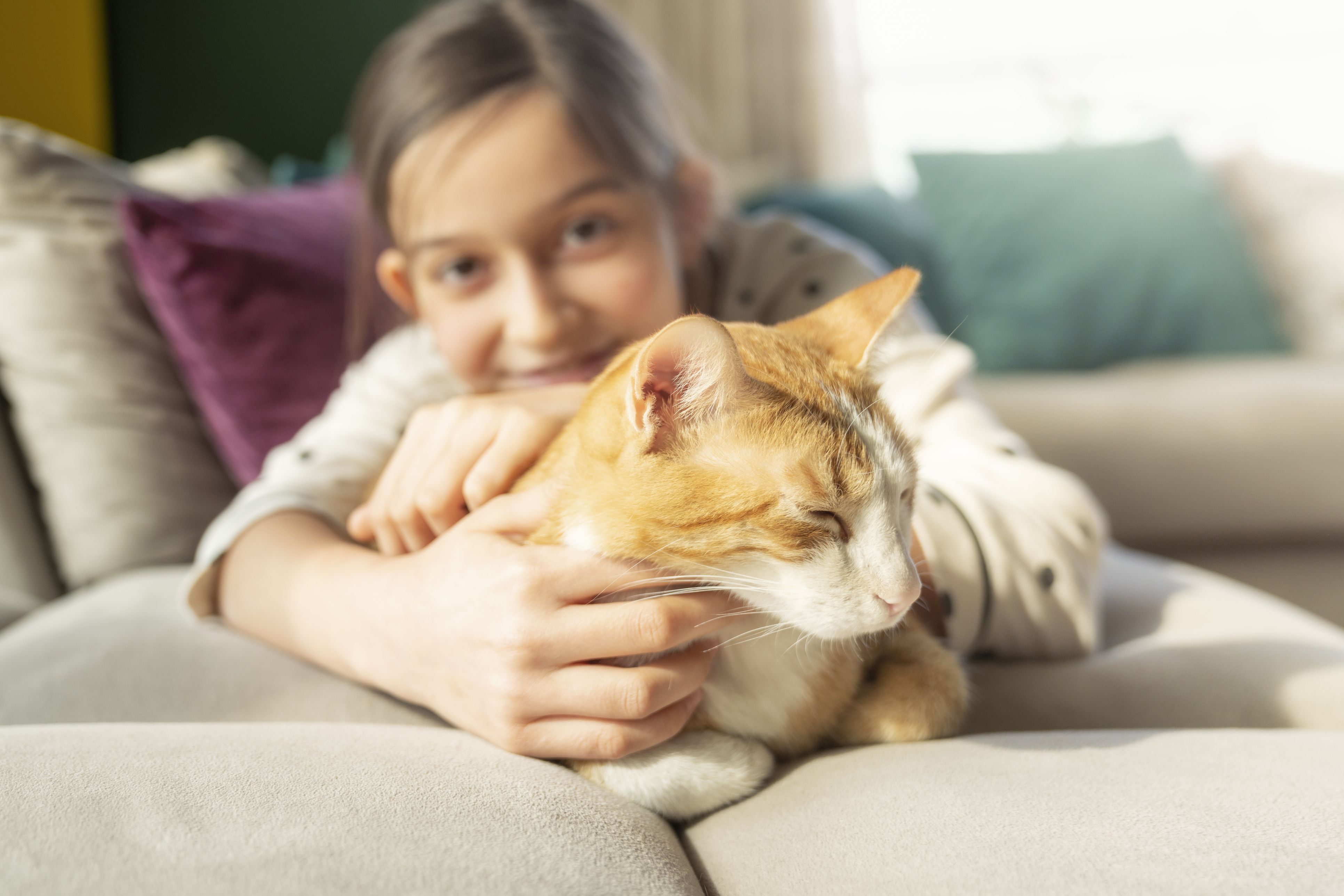 Heute.at - Parasiten: So machen uns Stubentiger das Leben schwer