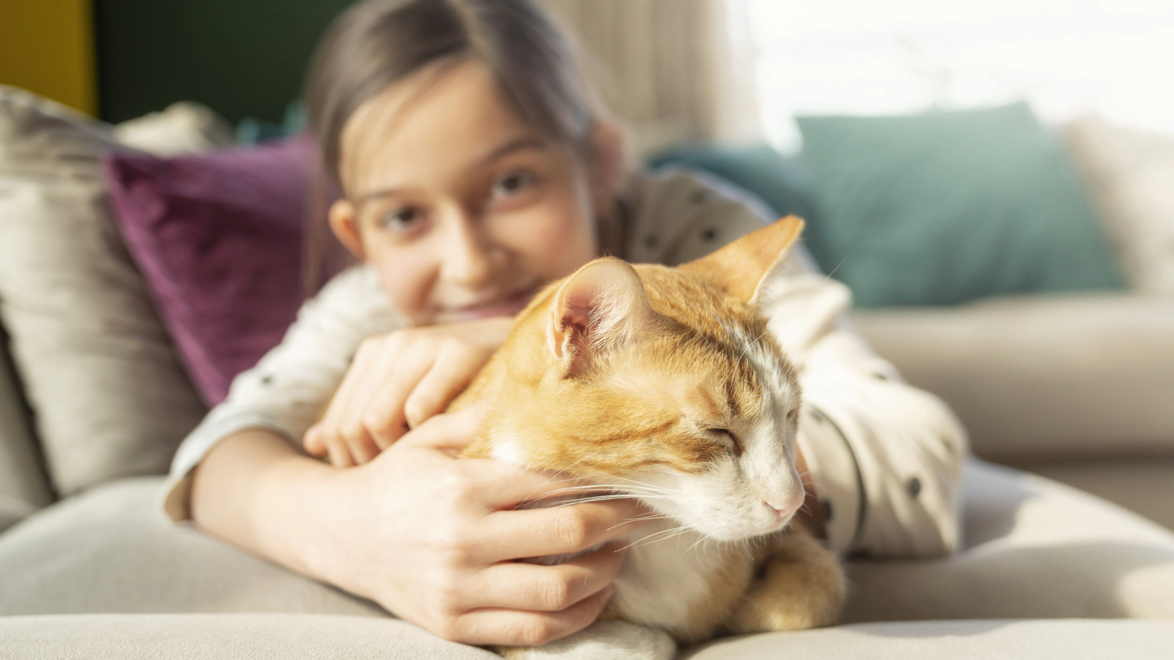 Heute.at - Parasiten: So machen uns Stubentiger das Leben schwer