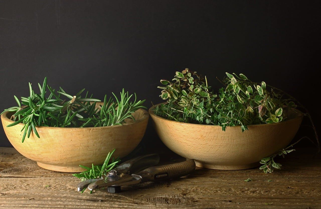 Mehrjährige Kräuter aus dem Garten - Rosmarin, Thymian und Oregano