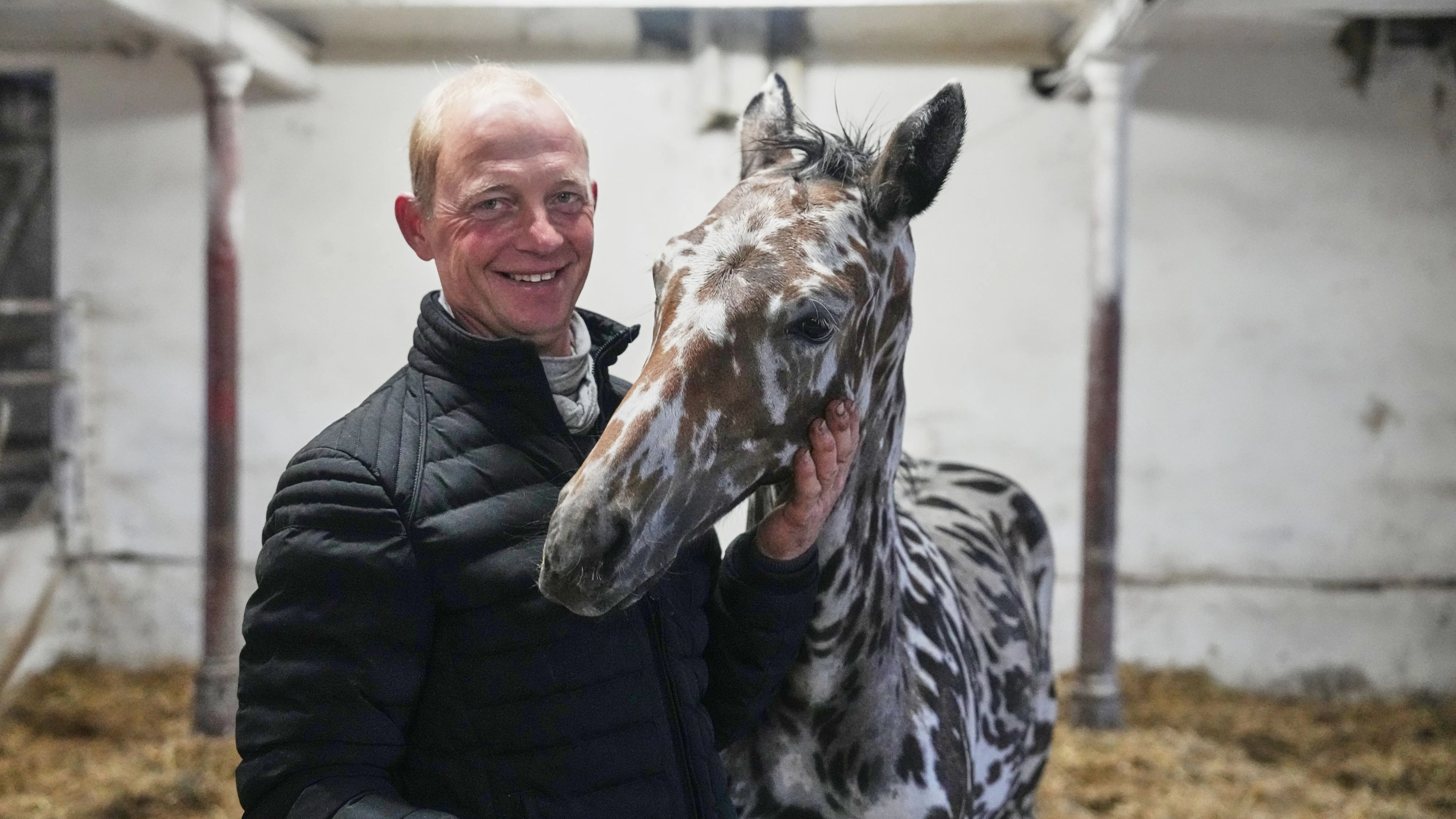 75.000 Euro erzielte der kleine Hengst bei einer Auktion in Wien. 