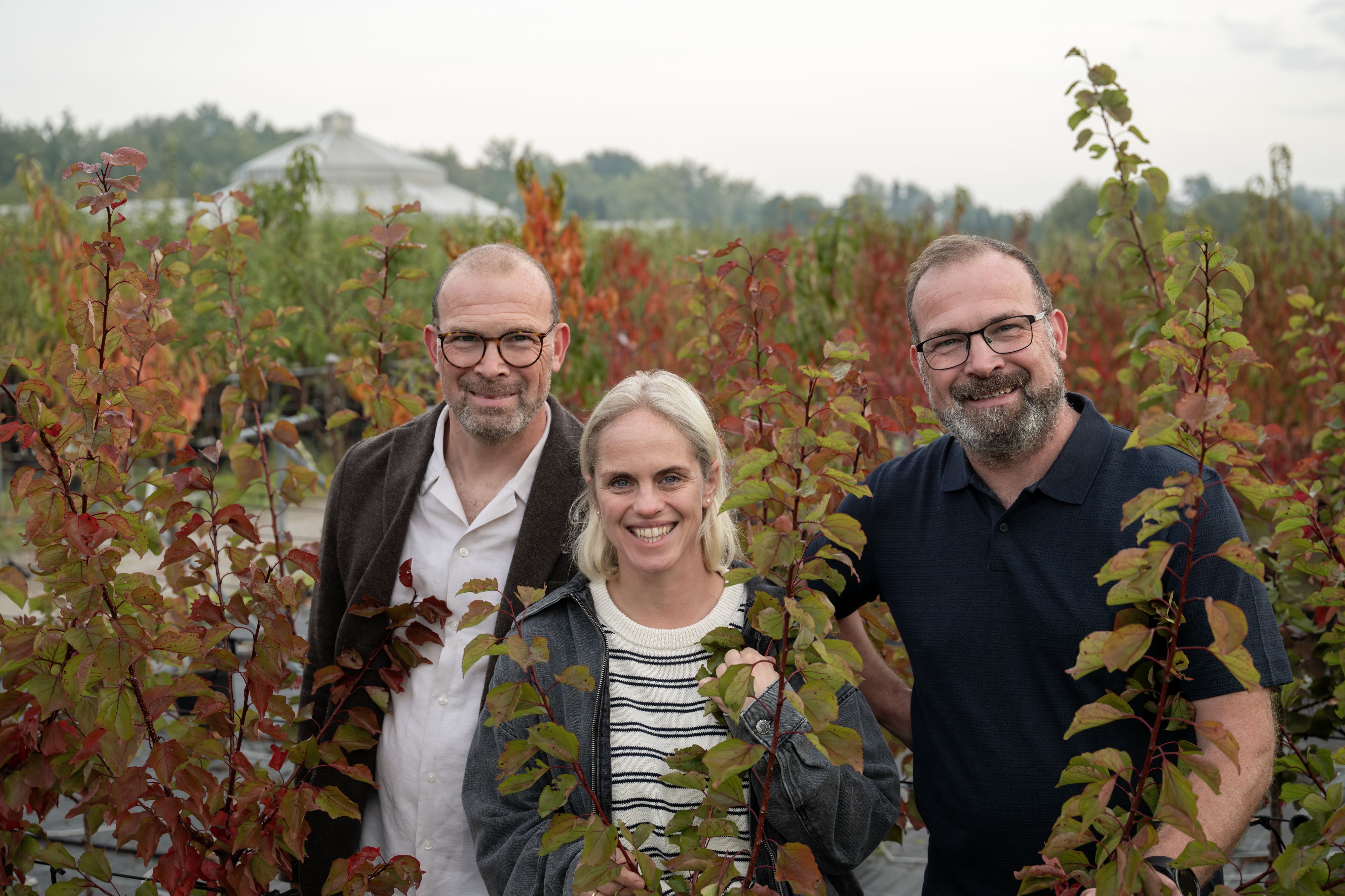 Heute.at - Gärtnerei verschenkt 800 Obstbäume – so kommst du dazu