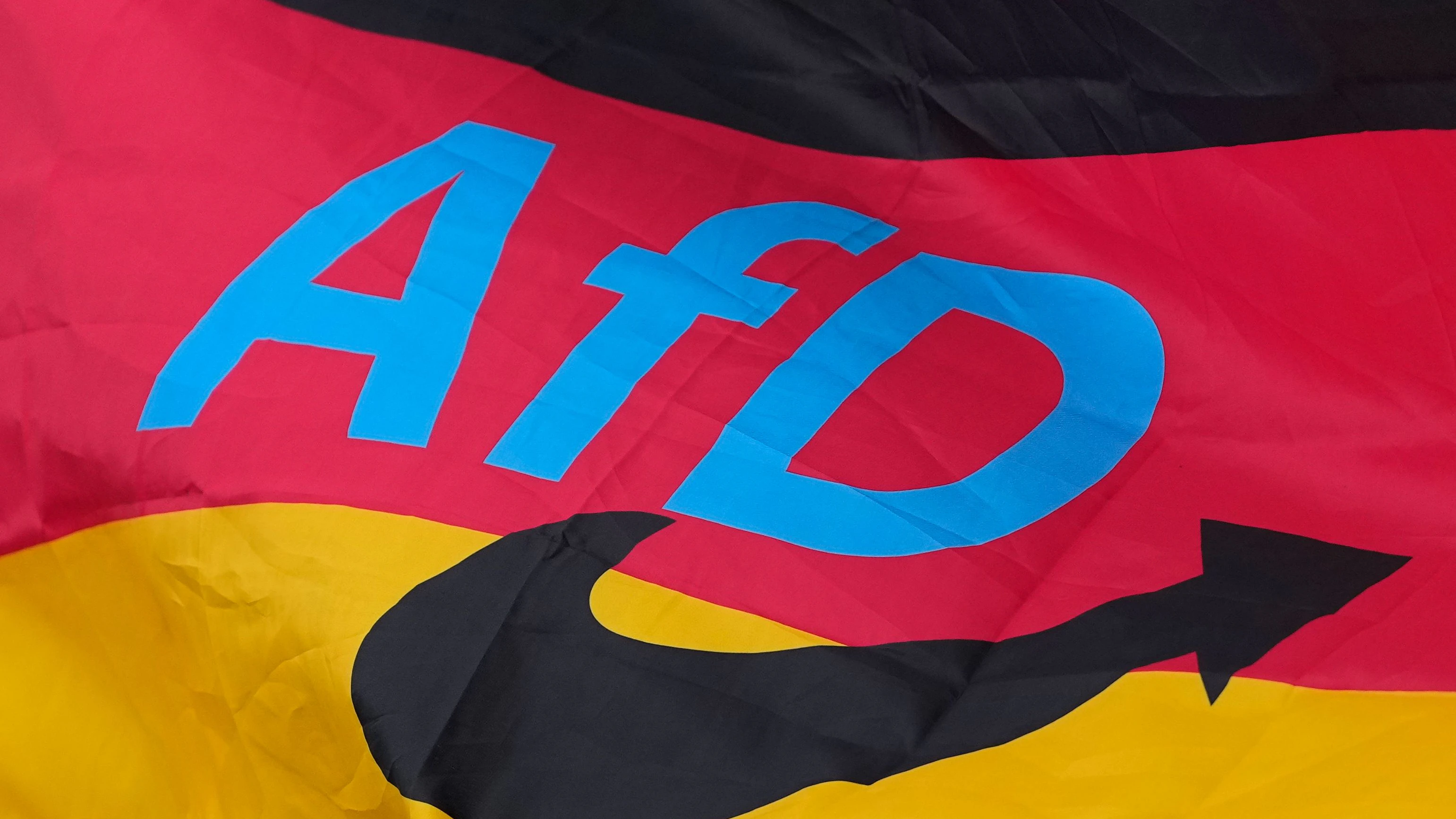 Das Logo der Alternative für Deutschland (AfD) über einer Deutschlandfahne. 