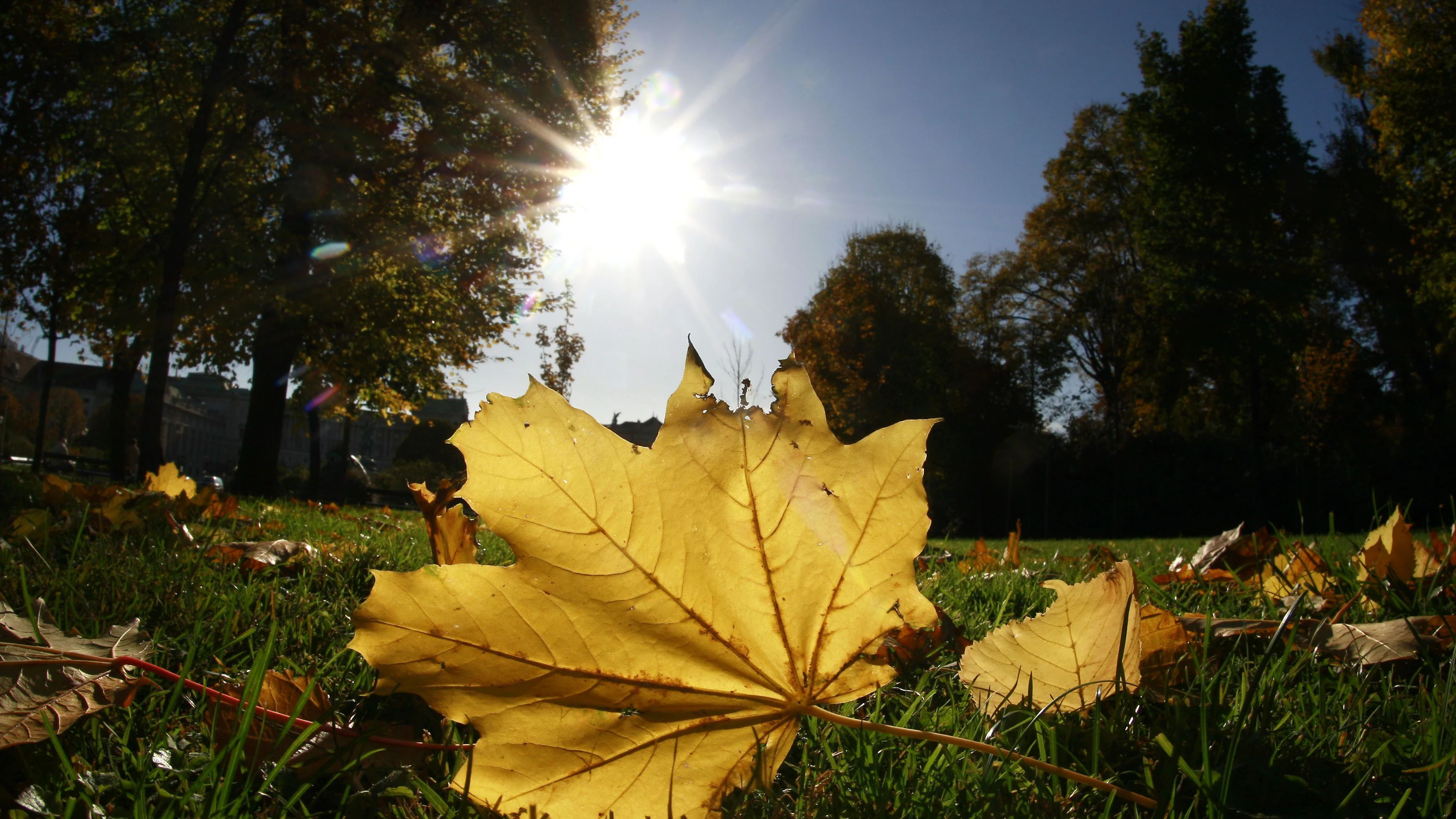 Österreich darf sich am Montag über viel Sonnenschein freuen.