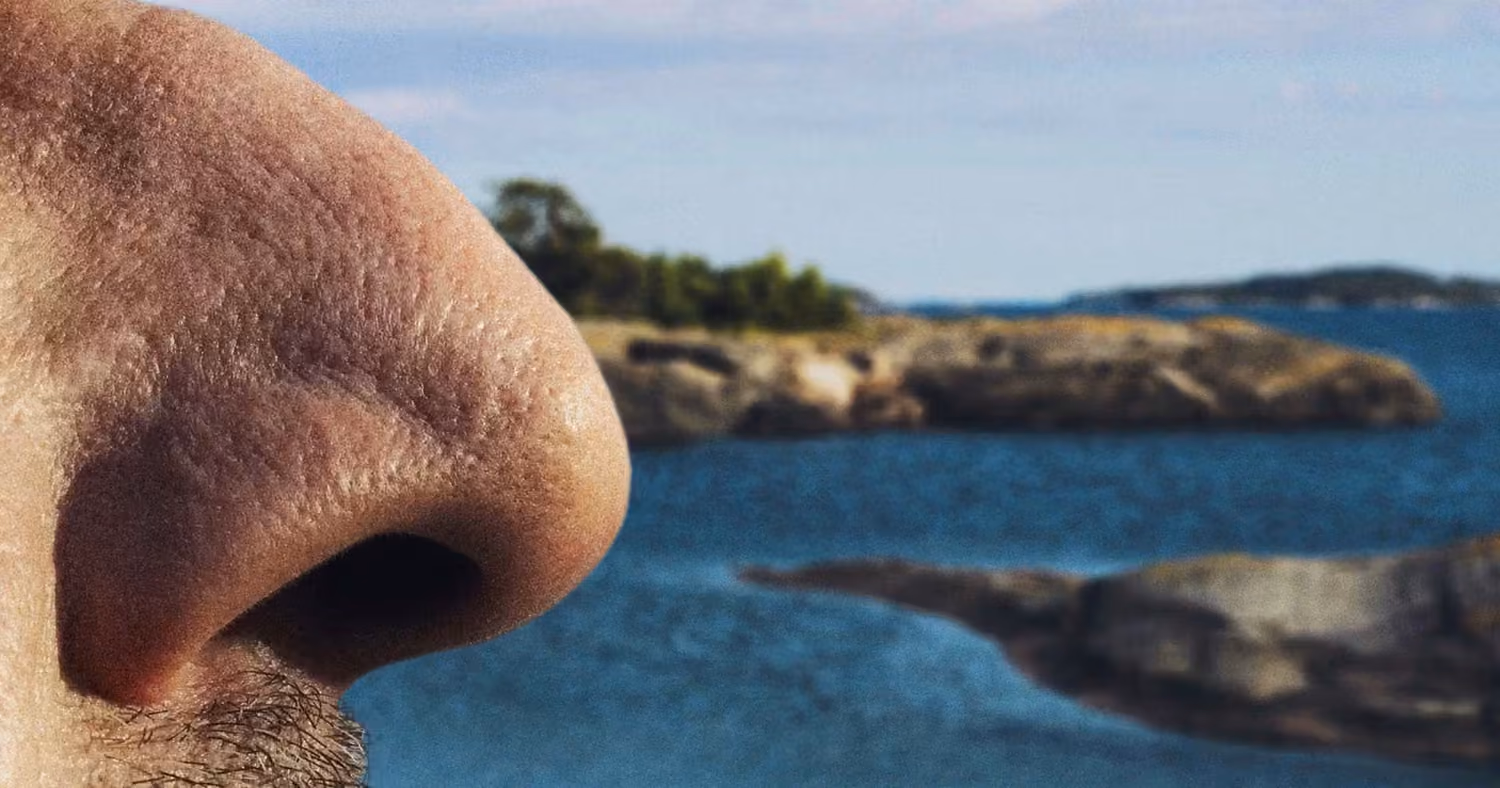 Der Turku-Archipel in Finnland sucht eine Supernase.