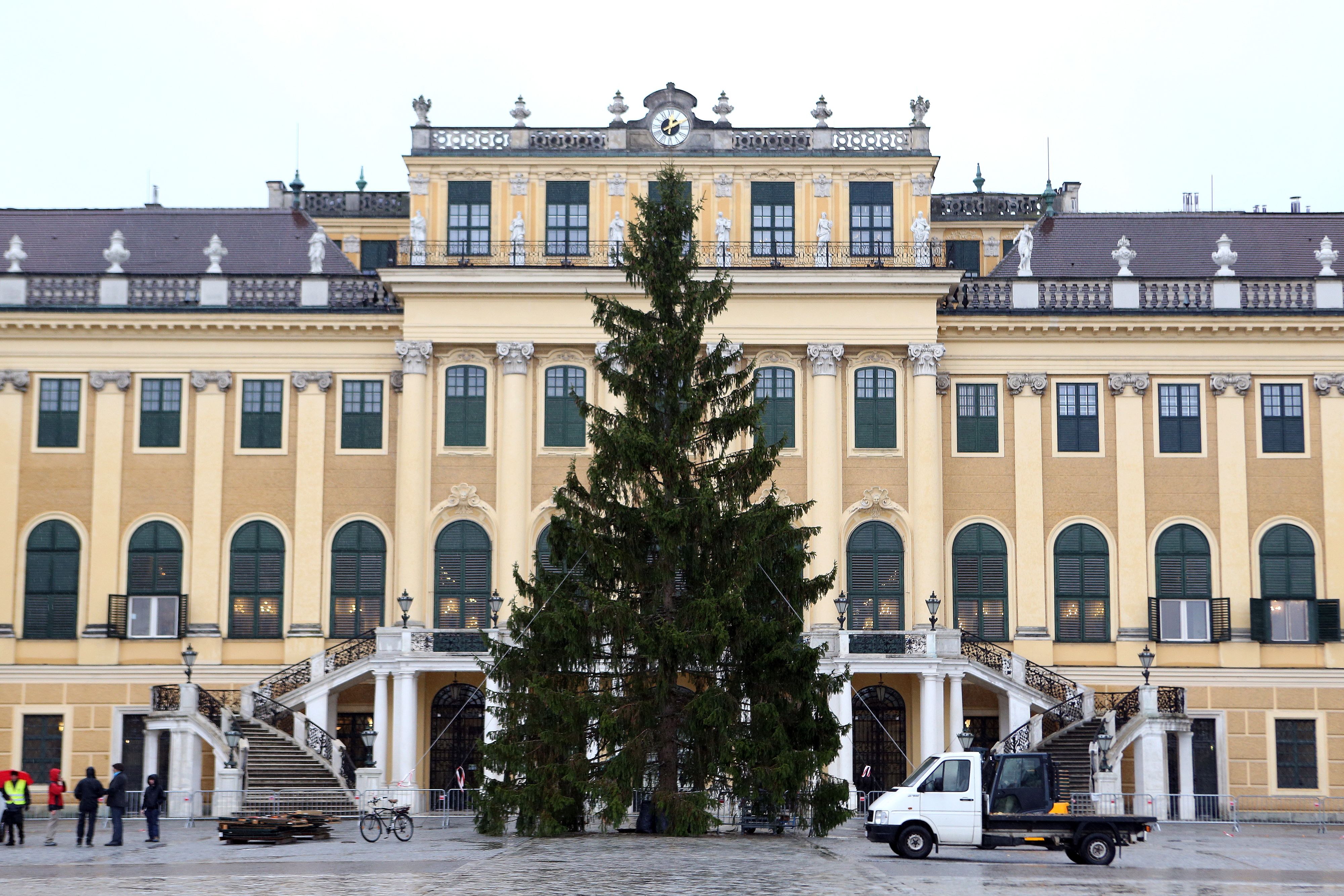 Auch im Vorjahr wurde der Baum lange vor dem Start des Weihnachtsmarktes angeliefert. 