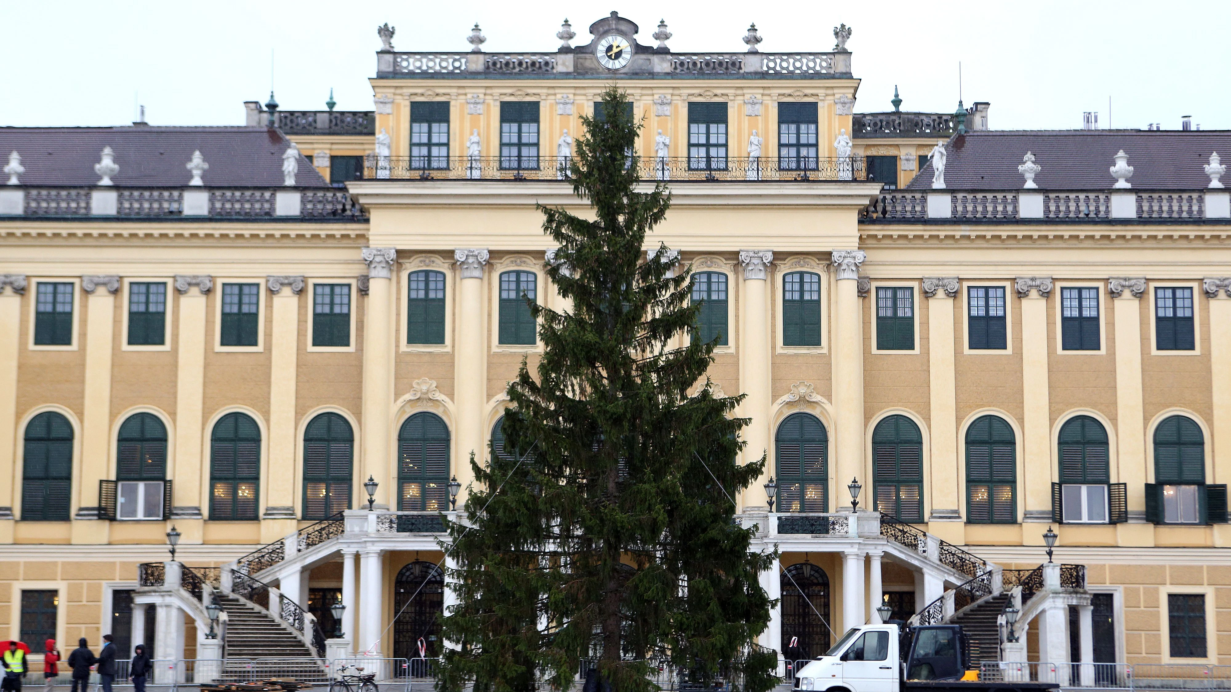 Auch im Vorjahr wurde der Baum lange vor dem Start des Weihnachtsmarktes angeliefert. 