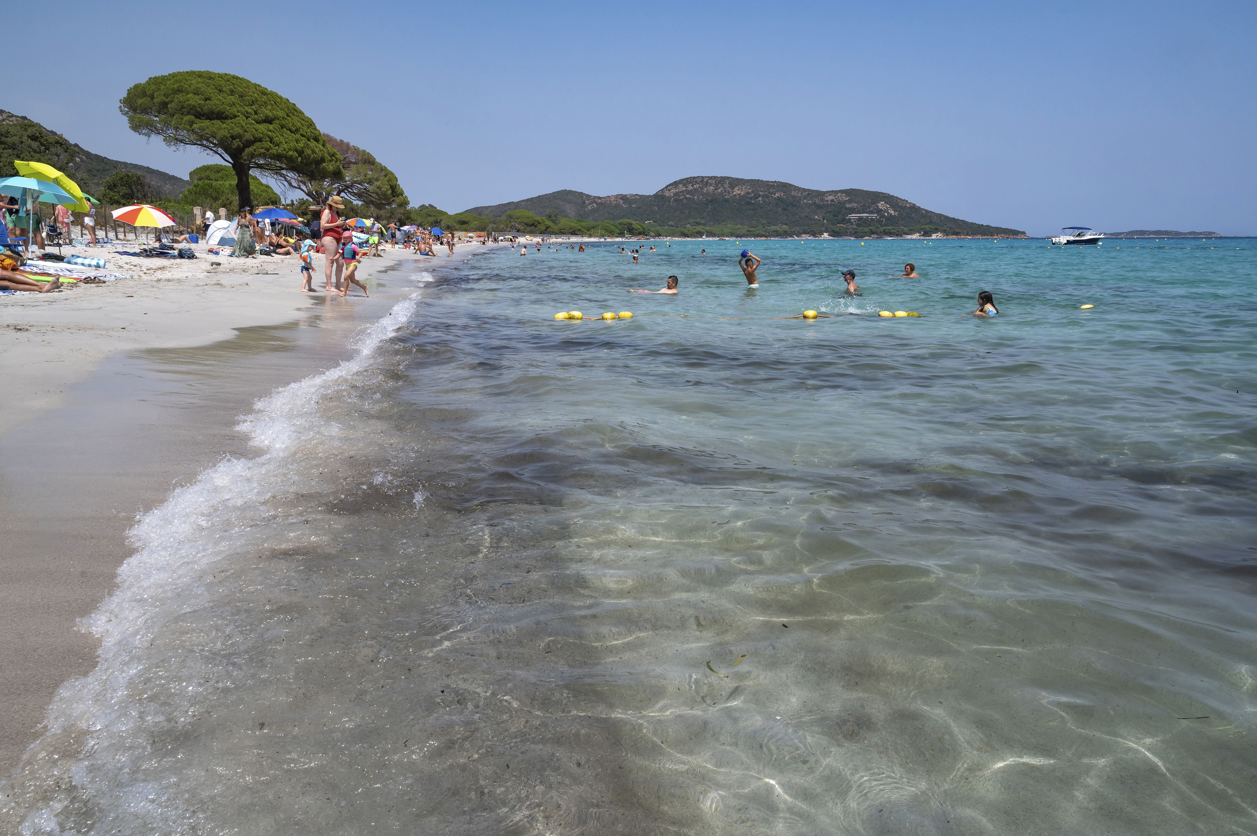 Die Meere sind so warm wie nie zuvor – die Folgen der Ozeanerwärmung bekommen auch Urlauber in beliebten Fernreisezielen zu spüren.