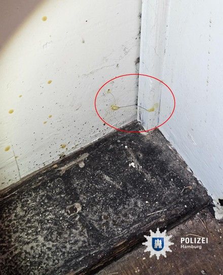 Klebefäden an der Haustür sind ein bekannter Einbrecher-Trick. Wer sie sieht, soll die Polizei verständigen.