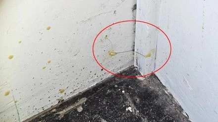 Klebefäden an der Haustür sind ein bekannter Einbrecher-Trick. Wer sie sieht, soll die Polizei verständigen.