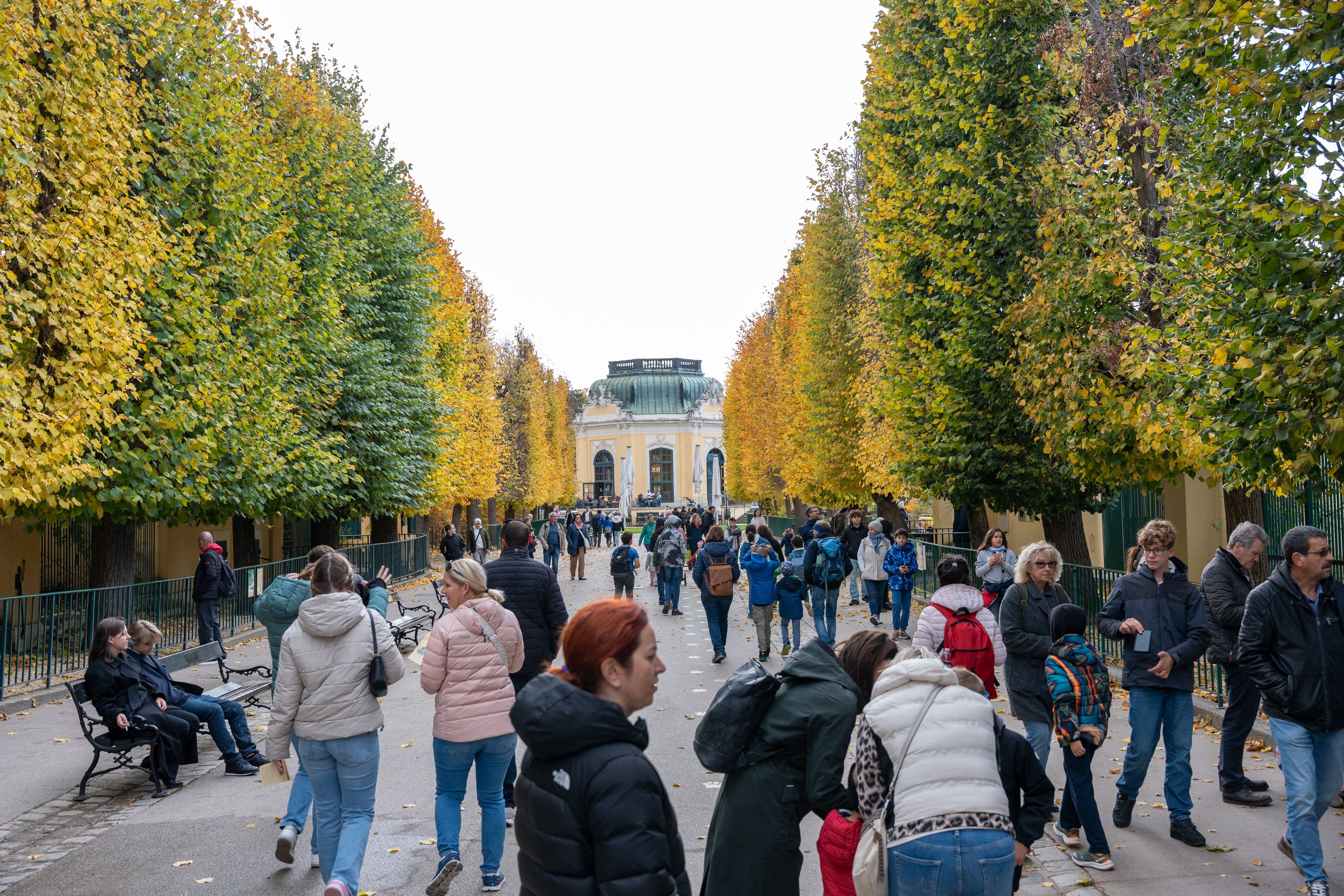 Heute.at - Frontensystem ändert Wetter in Österreich komplett