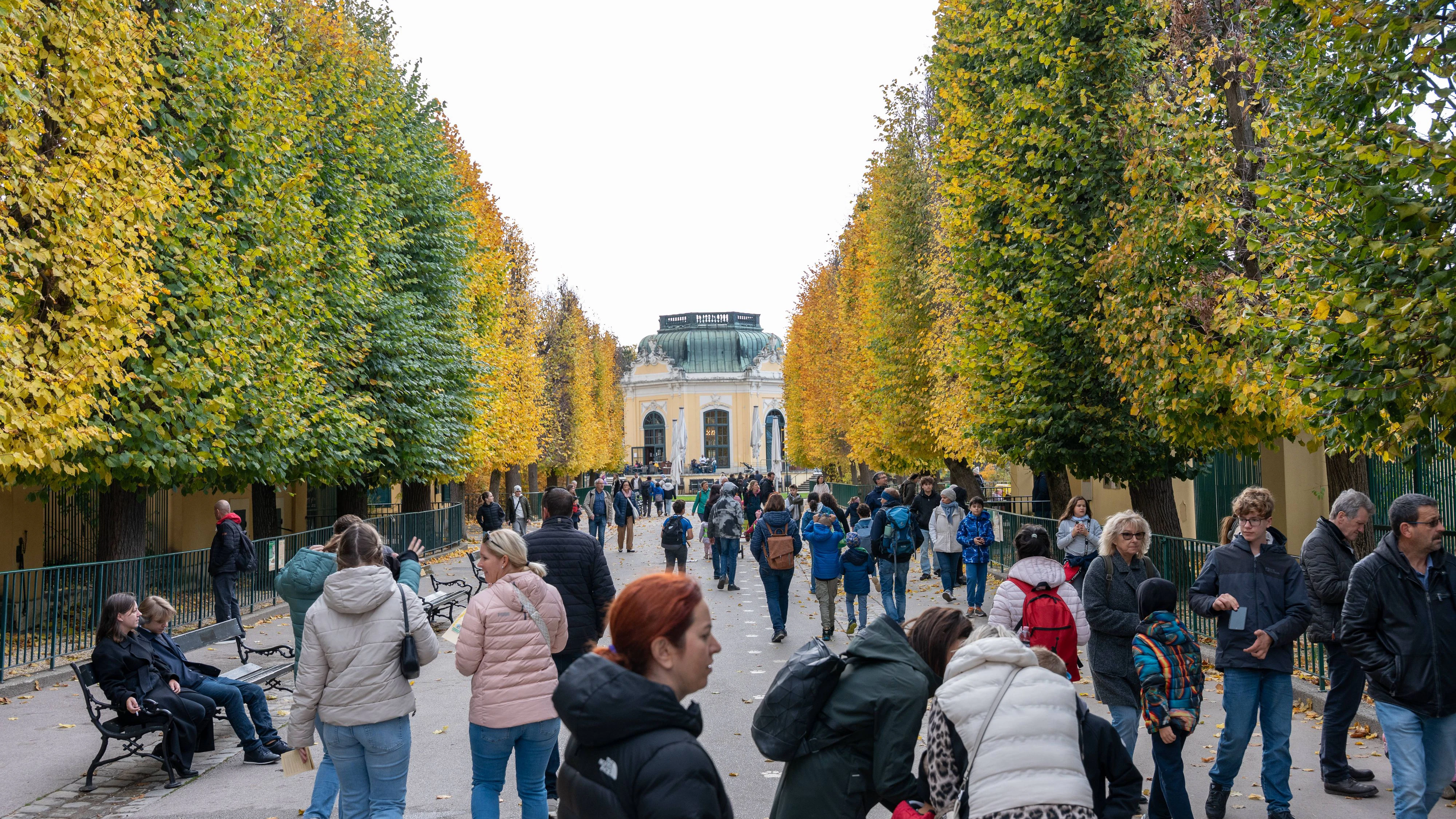 Österreich darf sich jetzt über ruhiges Herbstwetter freuen.