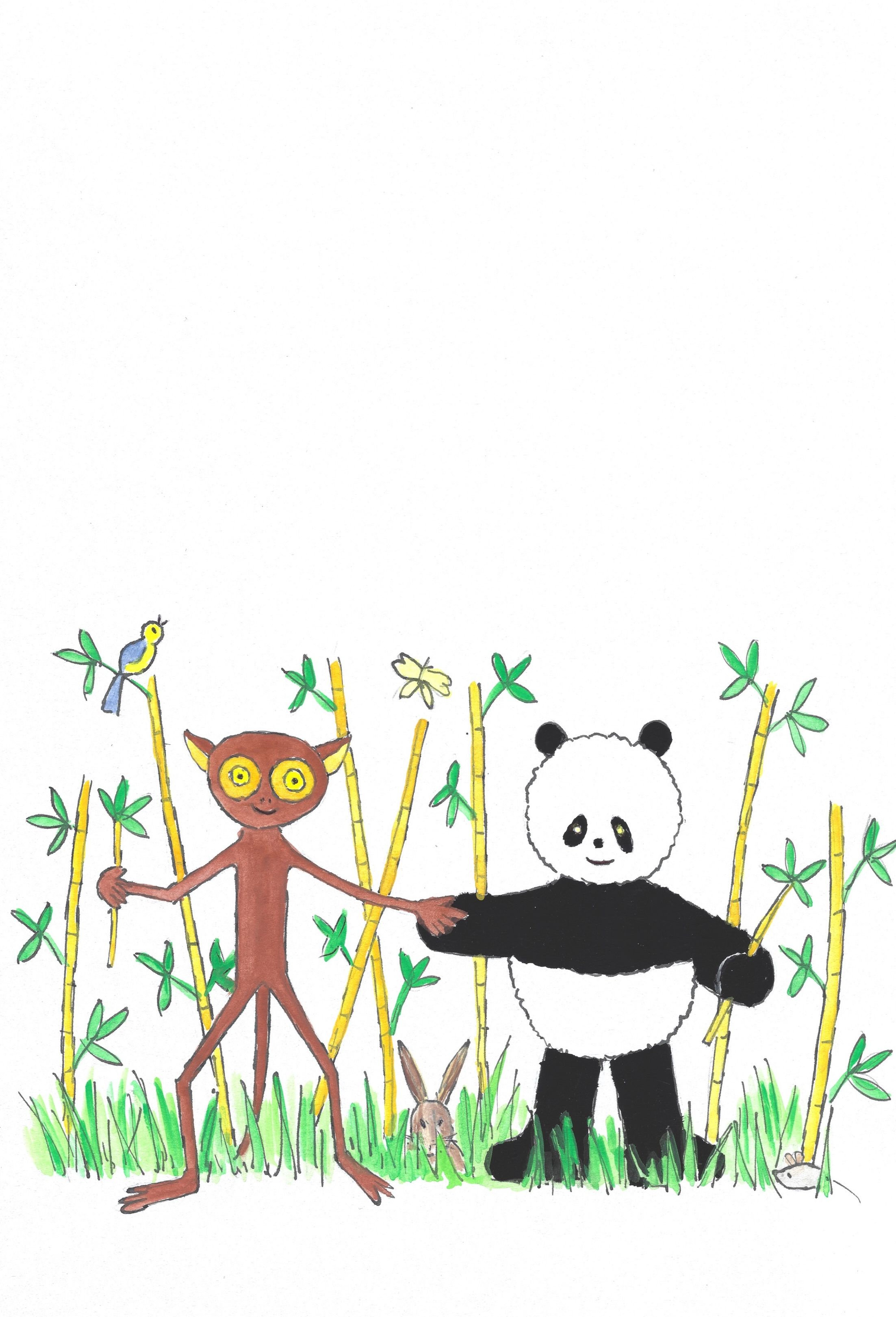 Das liebevoll illustrierte Kinderbuch 