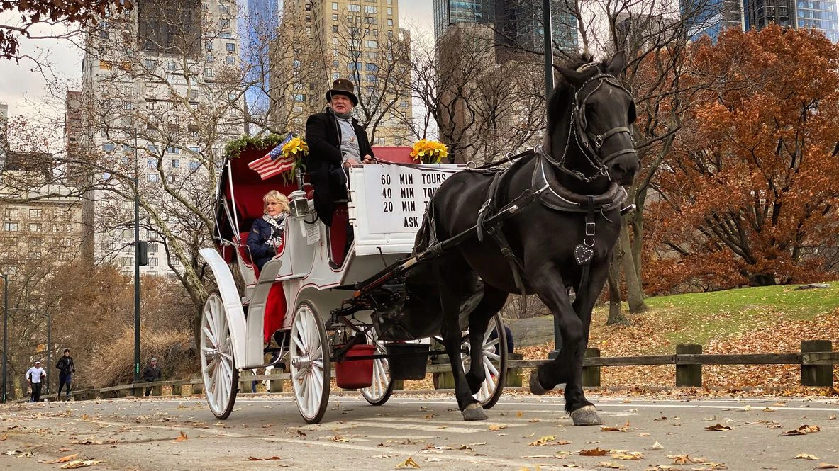 Auch im Central Park sollen Pferde bald keine Kutschen mehr mit Touristen ziehen. 