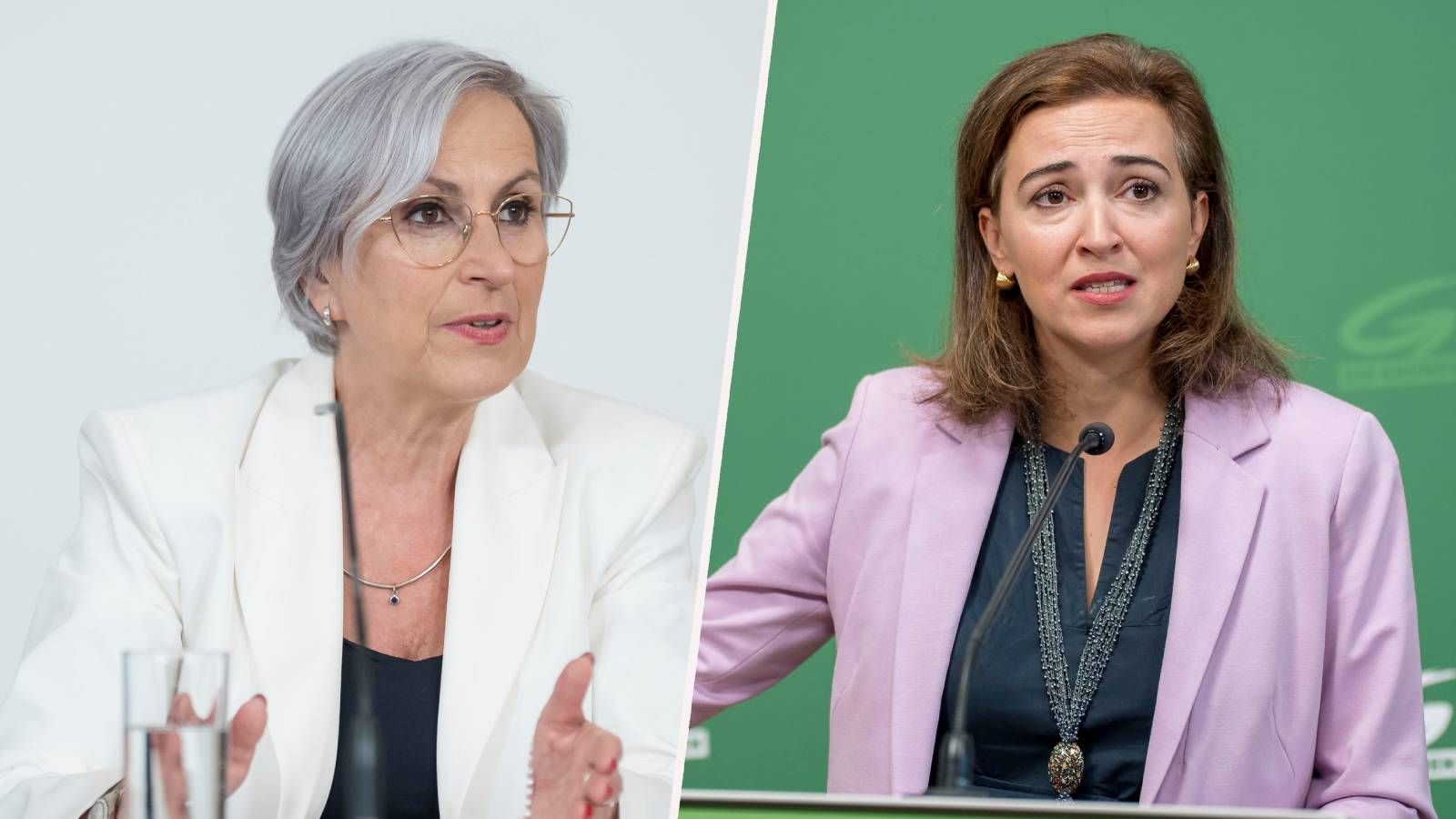 Die grüne Justizsprecherin Alma Zadić kritisiert die Budgetkürzung unter Justizministerin Anna Sporrer (SPÖ).