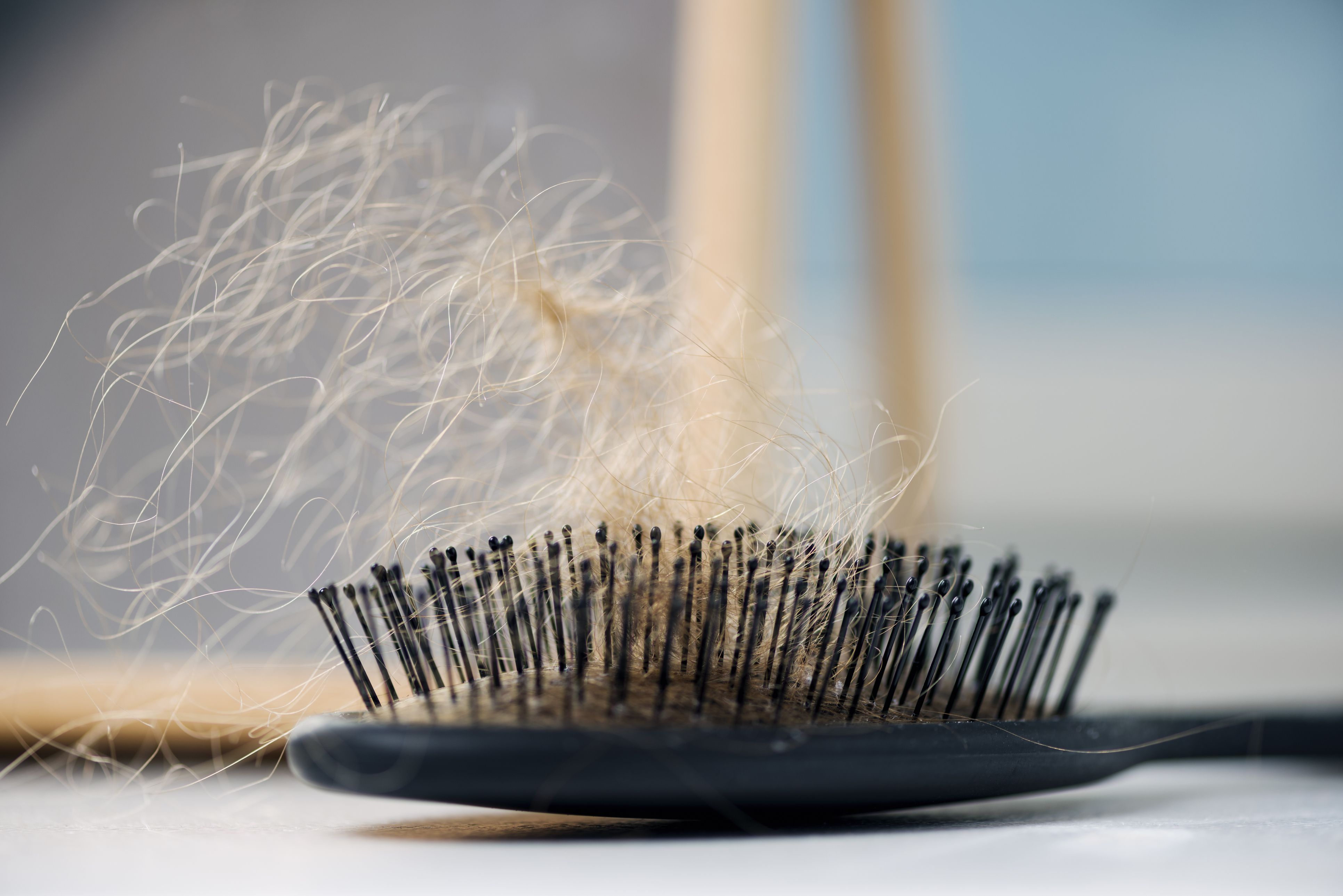 Kaum kämmst du dich, bleiben schon wieder unzählige Haare in der Bürste hängen.