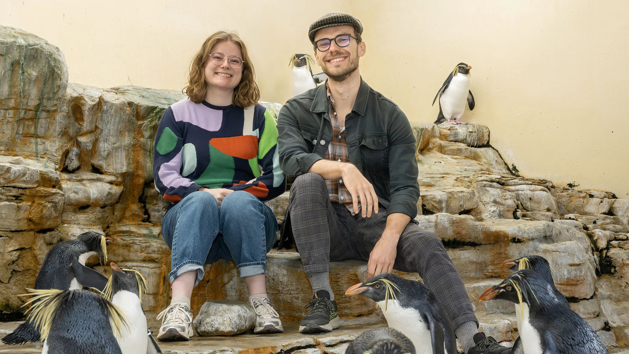 Eine gesunde Reservepopulation der selten gewordenen Pinguine ist für den Artenschutz besonders wichtig. 
