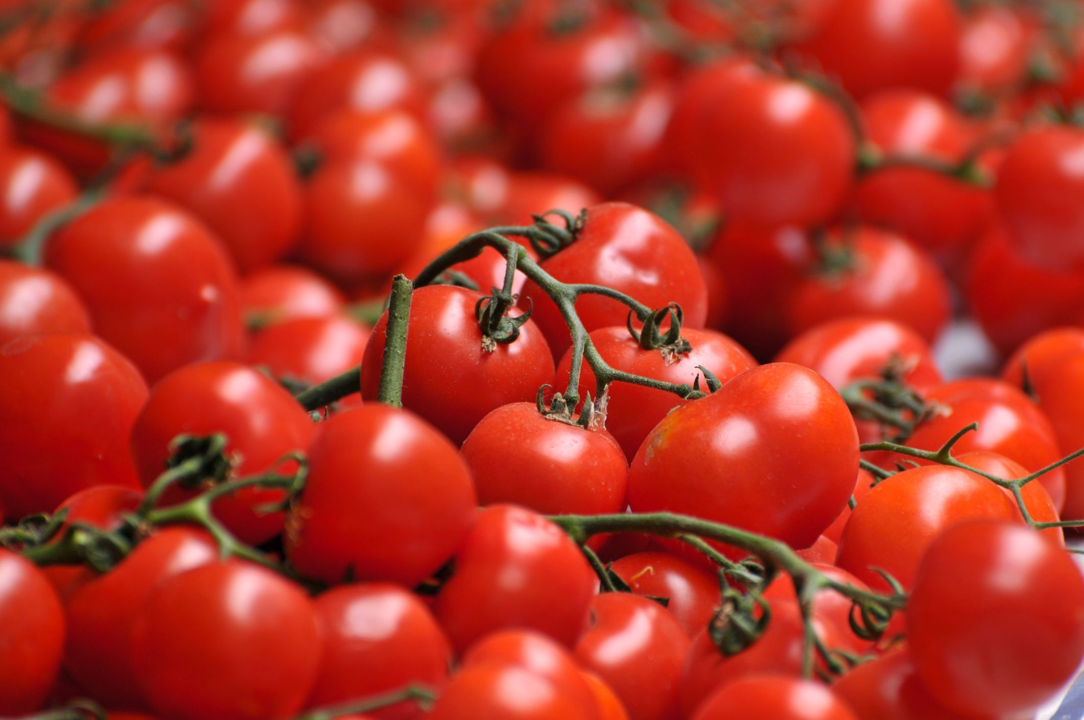 Die AGES warnt vor bestimmten Tomaten aus Italien.