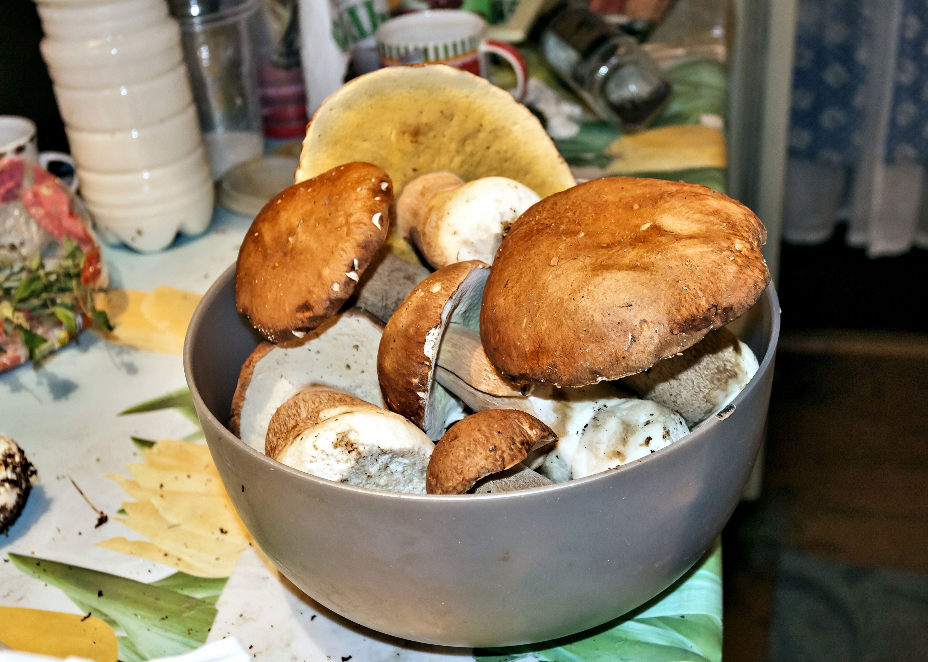 Bevor deine Champignons in der Pfanne landen, solltest du ihnen ein Sonnenbad gönnen.