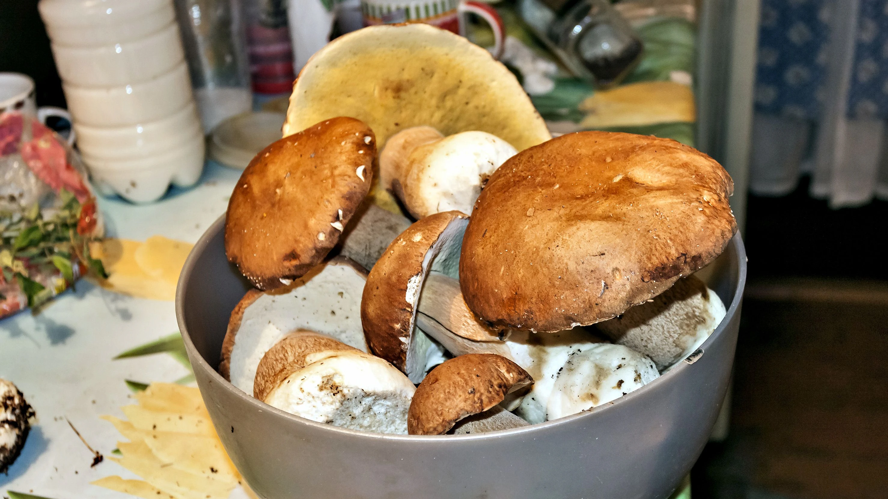 Bevor deine Champignons in der Pfanne landen, solltest du ihnen ein Sonnenbad gönnen.