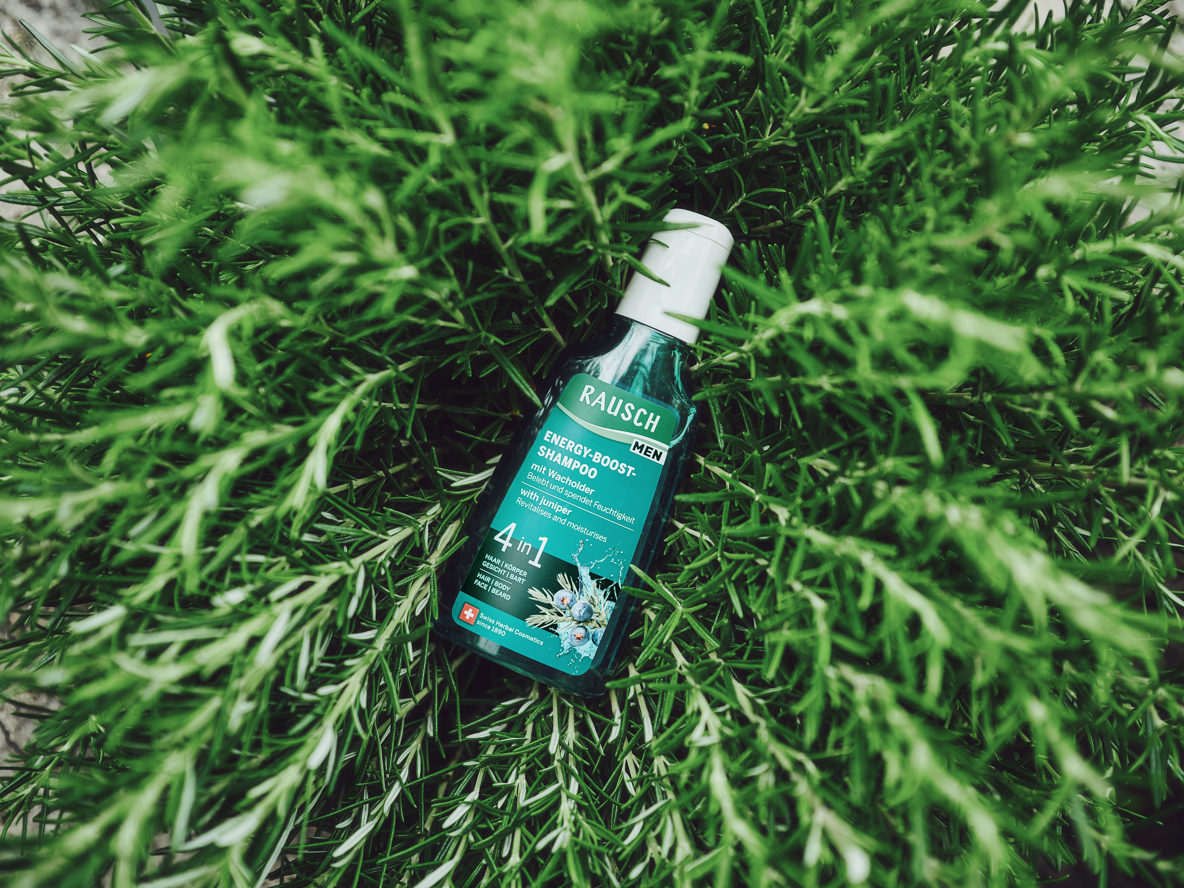 Frische Pflege für Männer: Heute.at verlost 3x das neue RAUSCH Energy-Boost-Shampoo.