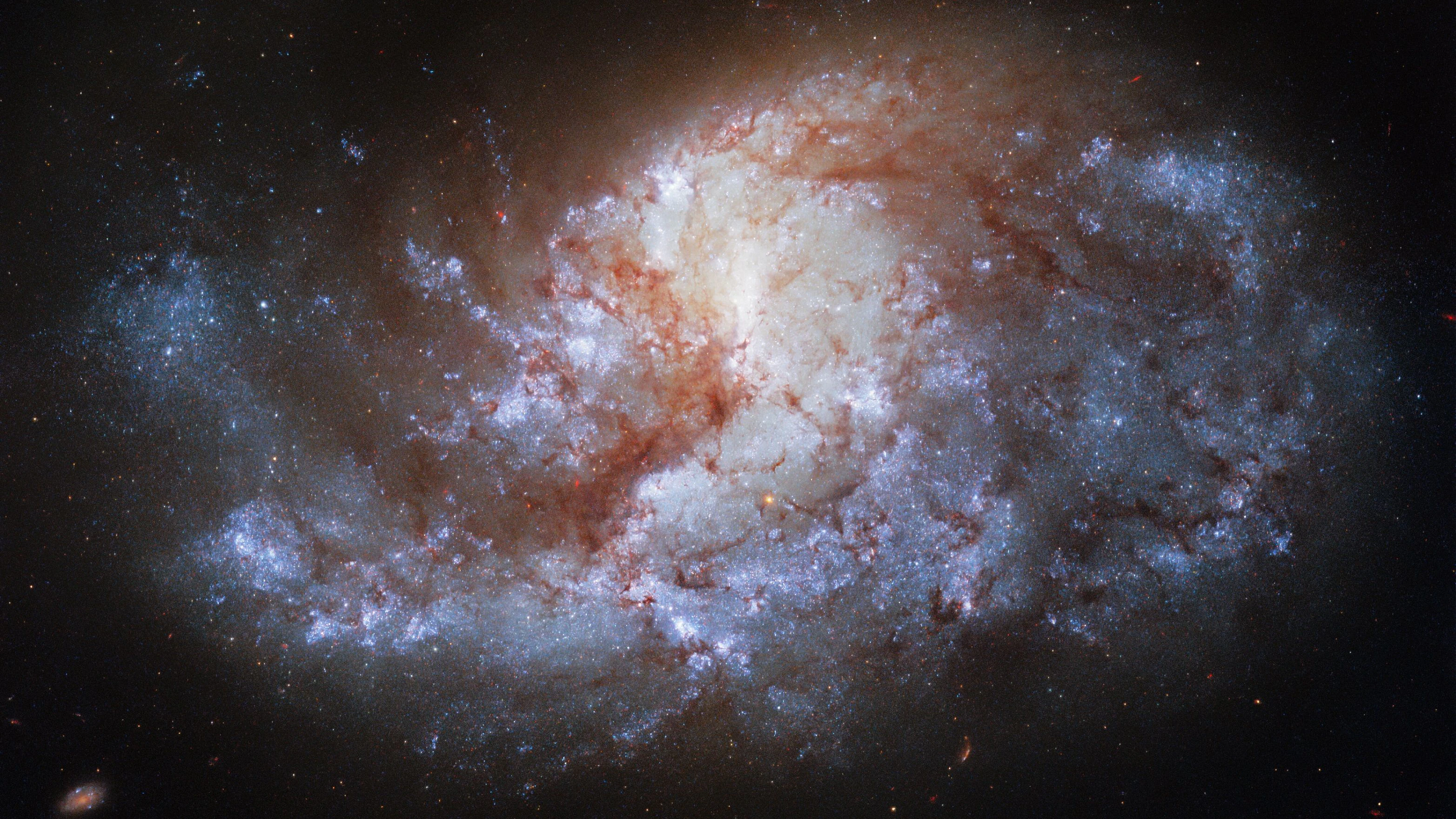 Ein spiralförmiger Edelstein im tiefen Weltraum: Hubble hat NGC 1385 eingefangen, eine juwelenhell leuchtende Galaxie, die 68 Millionen Lichtjahre entfernt im Sternbild Fornax erstrahlt.