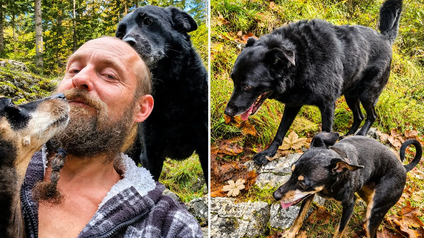 Bilder sagen mehr als Worte - denn sie zeigen "Blackys" Familienglück. 