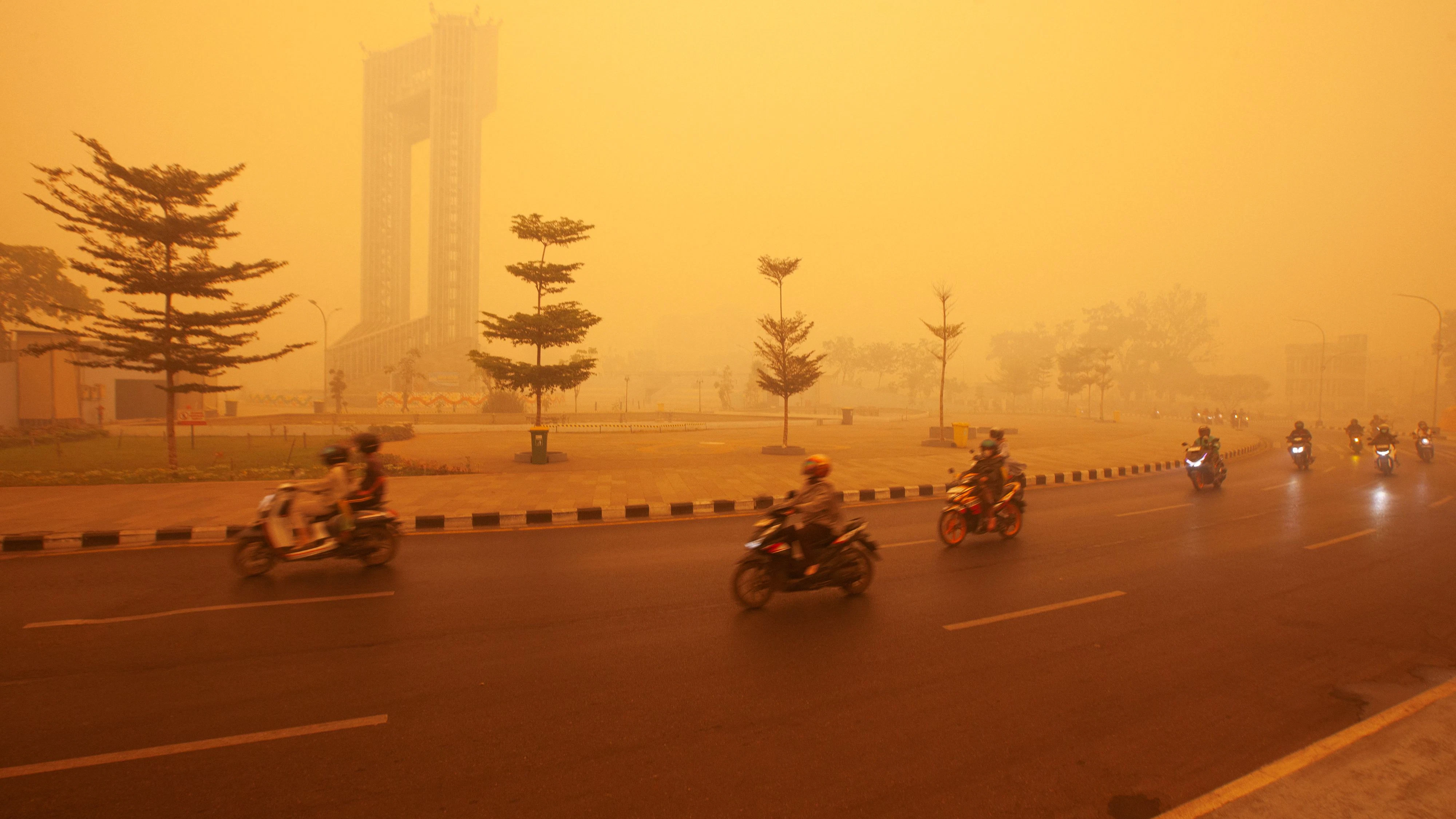 In Indonesien wüten seit Monaten verheerende Waldbrände. Der Rauch zieht bis in die Nachbarländer, Hunderttausende leiden unter der schlechten Luft.