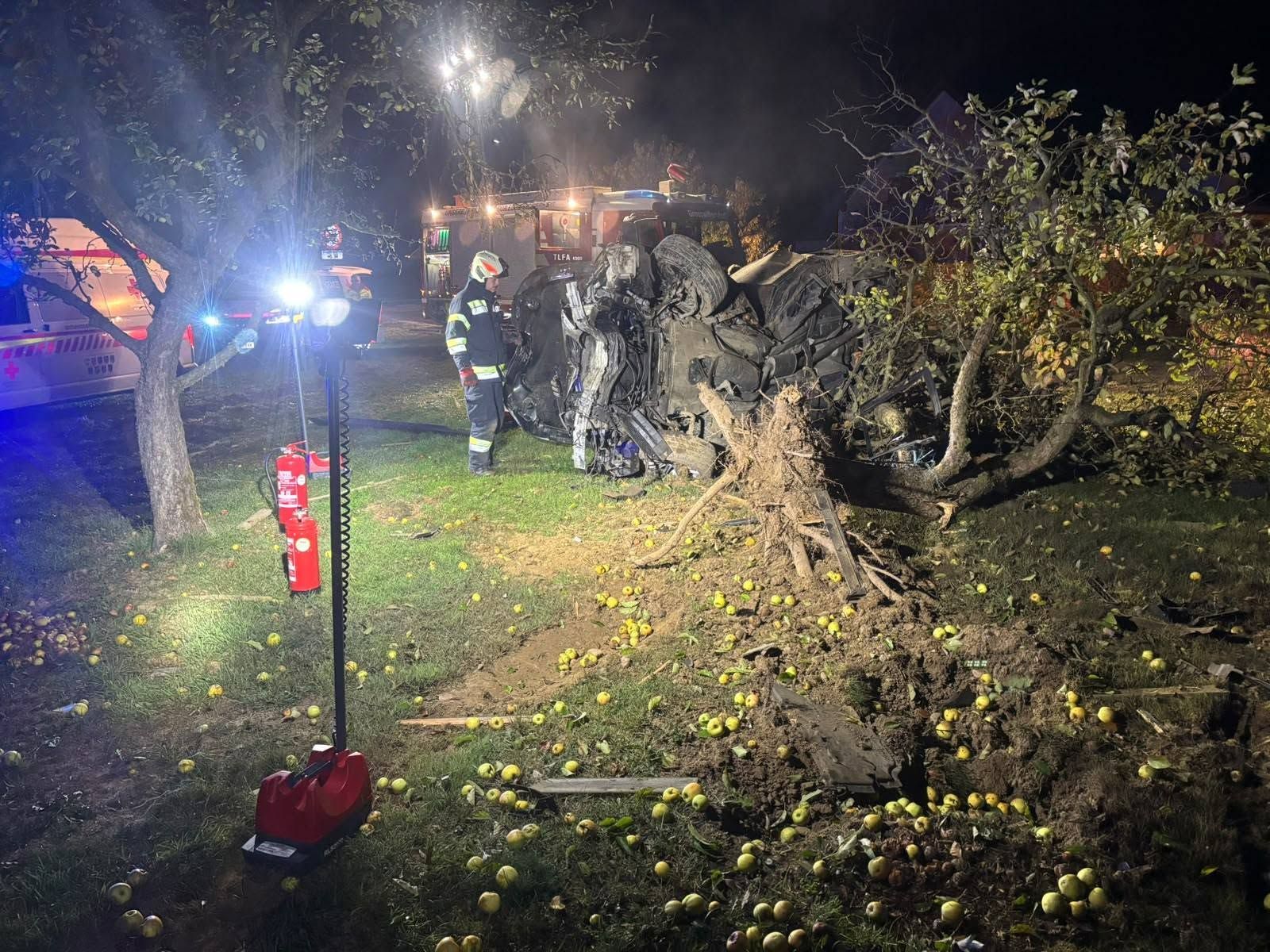 Heute.at - Alko-Lenker (22) entwurzelt Baum bei Horror-Crash