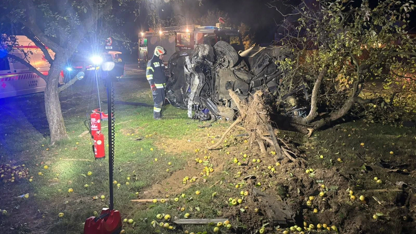 Heute.at - Alko-Lenker (22) entwurzelt Baum bei Horror-Crash