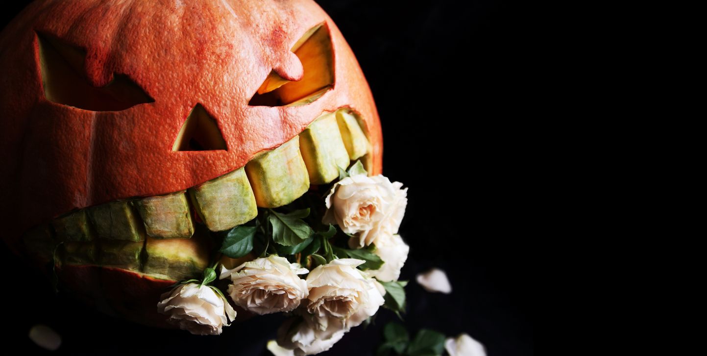 Schnitzt du auch gerne Halloween-Fratzen? 
