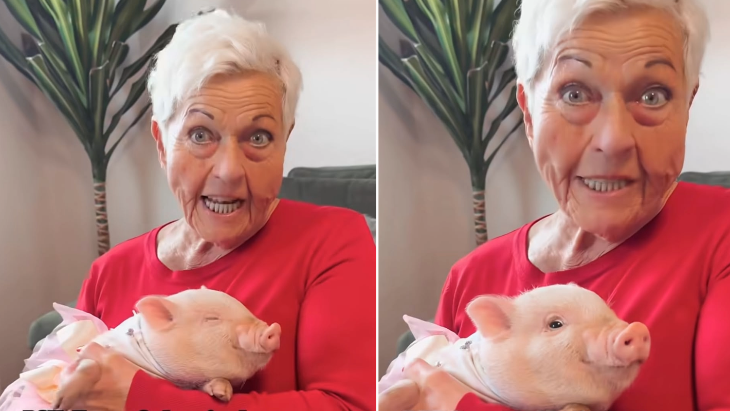 Jazz Gitti mit ihrem neuen Mini-Schwein Jessica