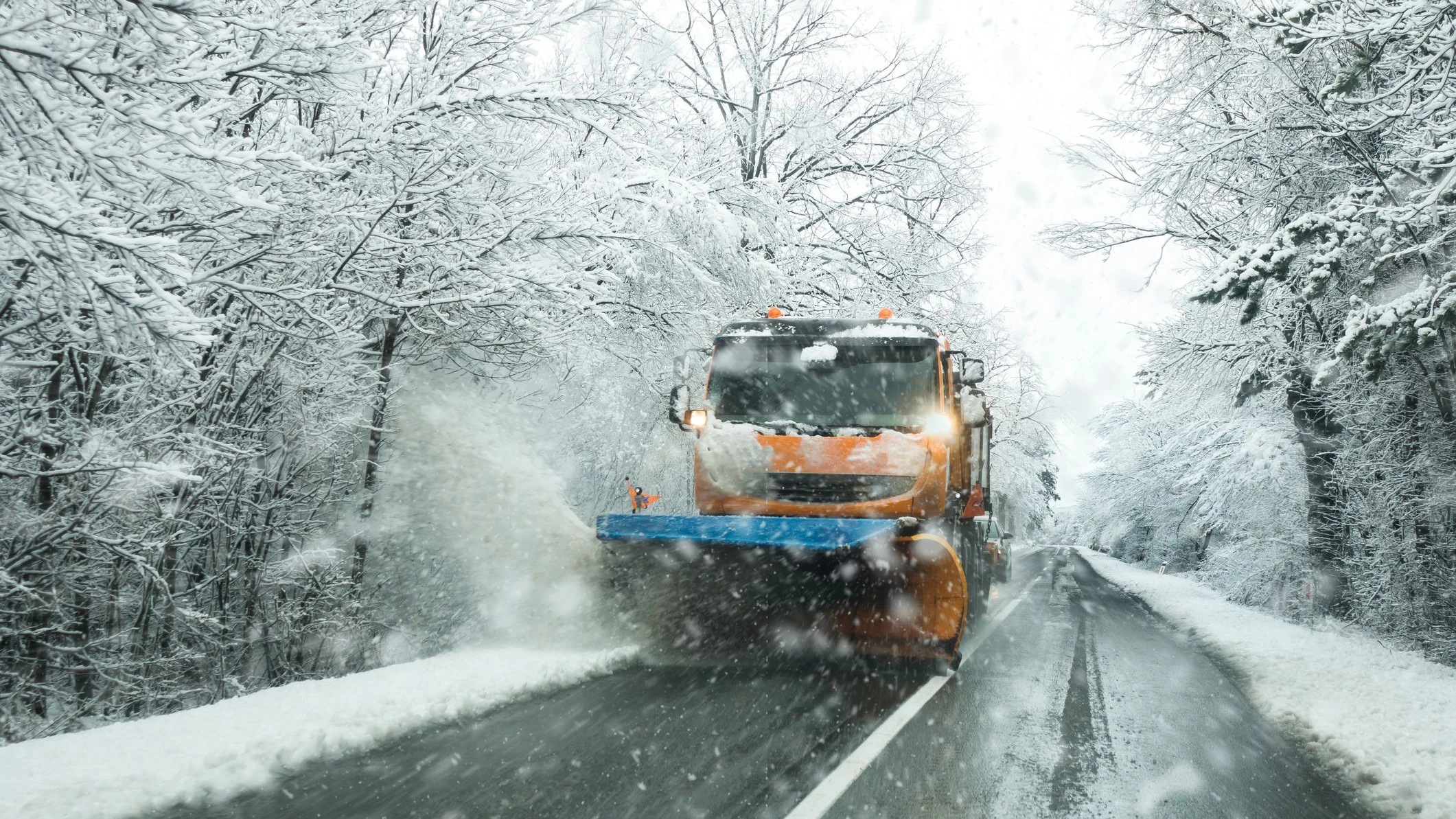  Neue Wettermodelle deuten auf einen milden Winter hin.