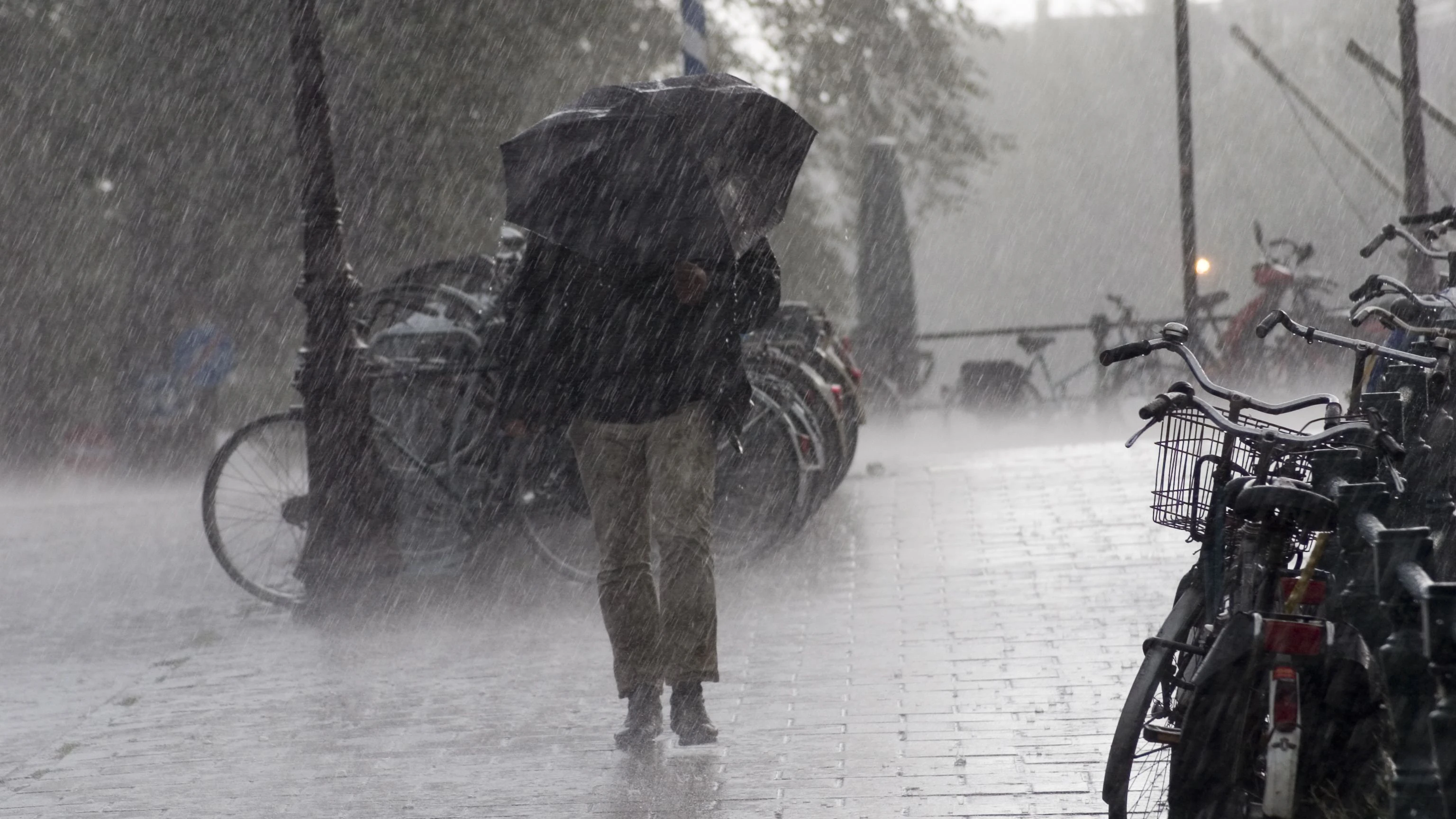 Heftige Unwetter sorgen auf Korsika und in Südfrankreich für Chaos. (Symbolbild)