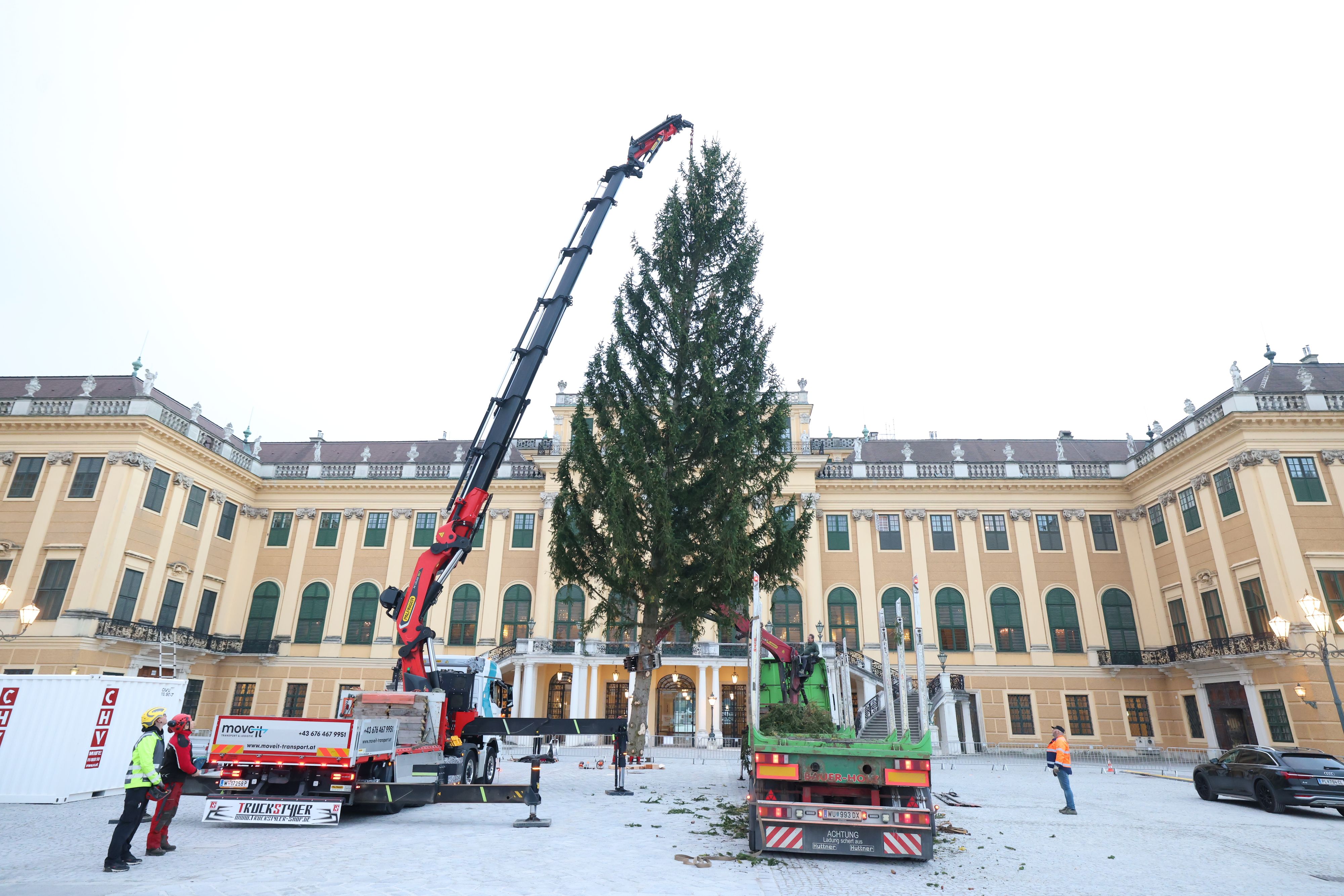 Am Dienstag wurde die Fichte vor dem Schloss Schönbrunn aufgestellt.
