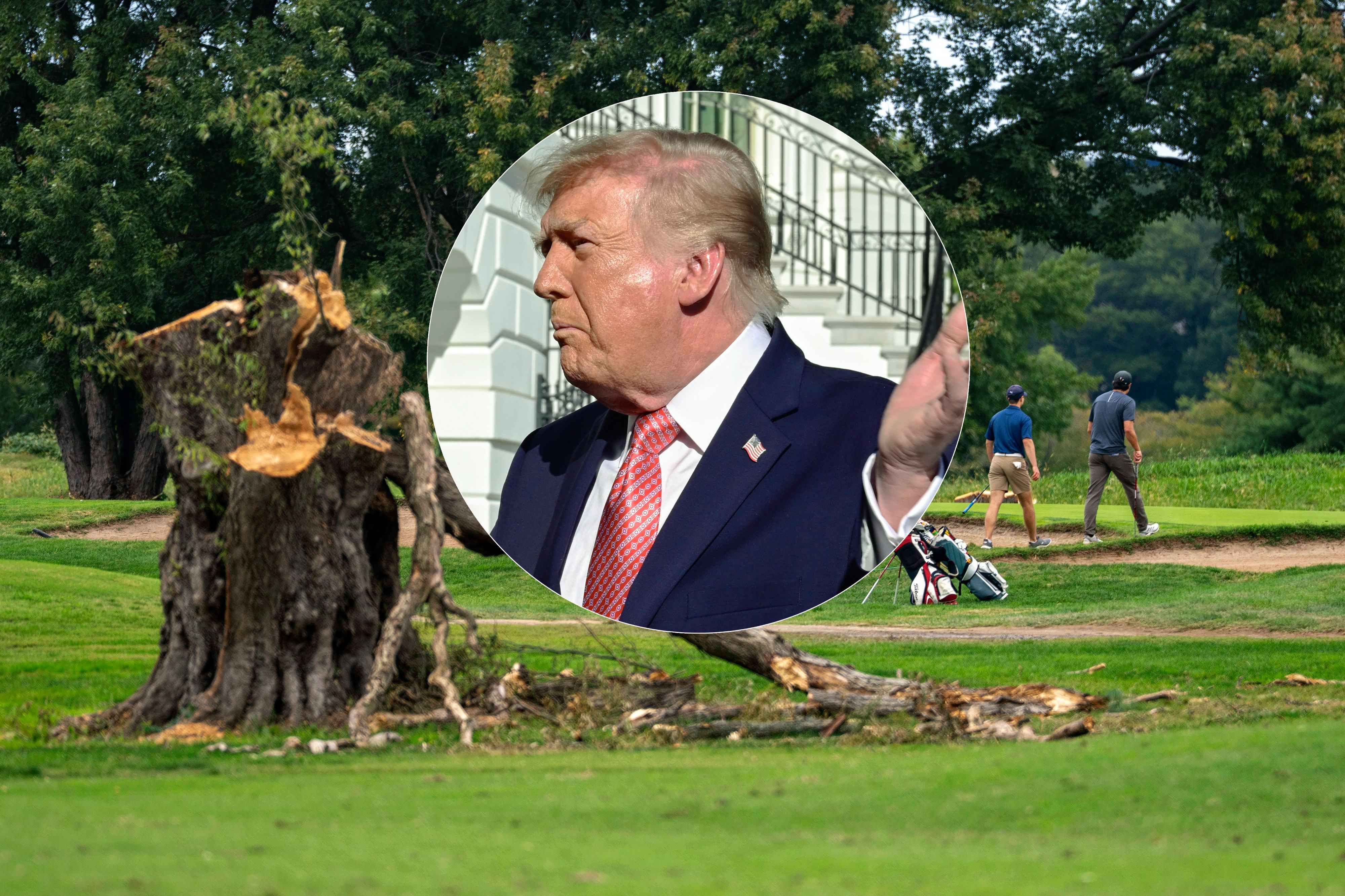 Donald Trump legt sich mit der Natur an.