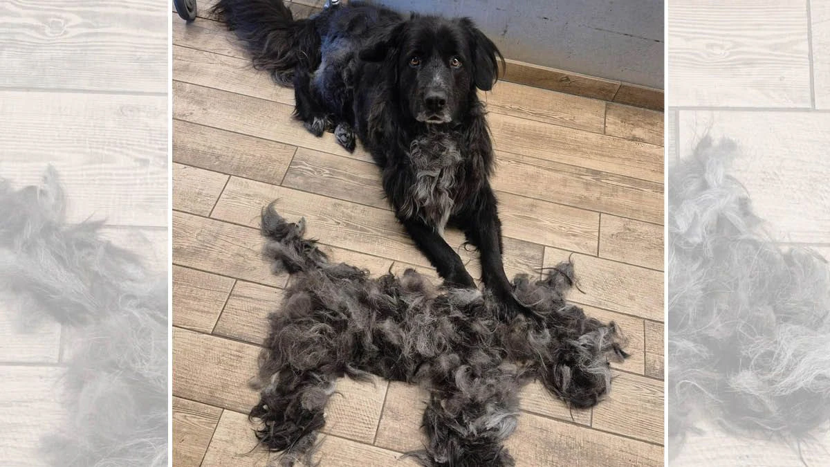 Charly und sein Doppelgänger.