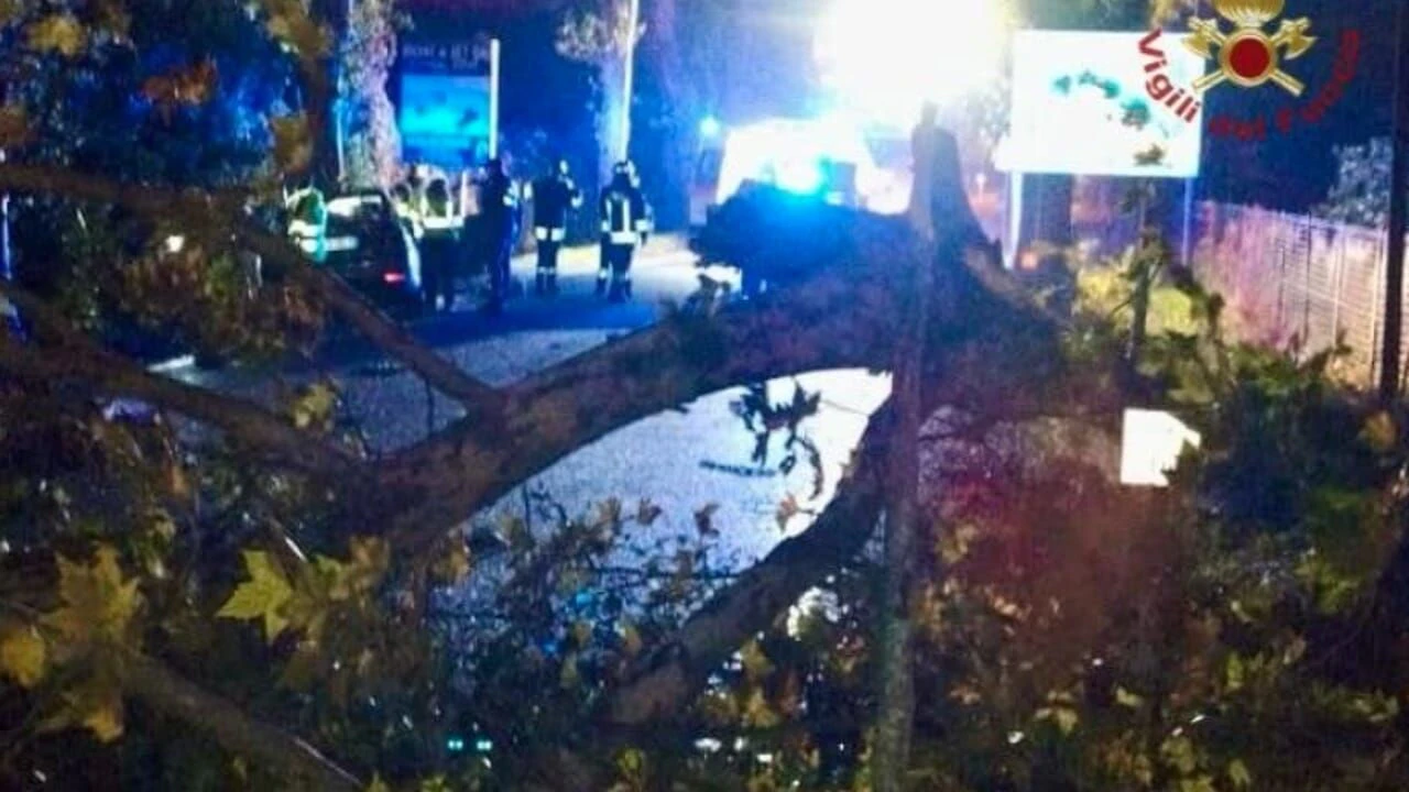 Ein umstürzender Baum tötete in Jesolo einen Soldaten auf dem Weg zur Arbeit.