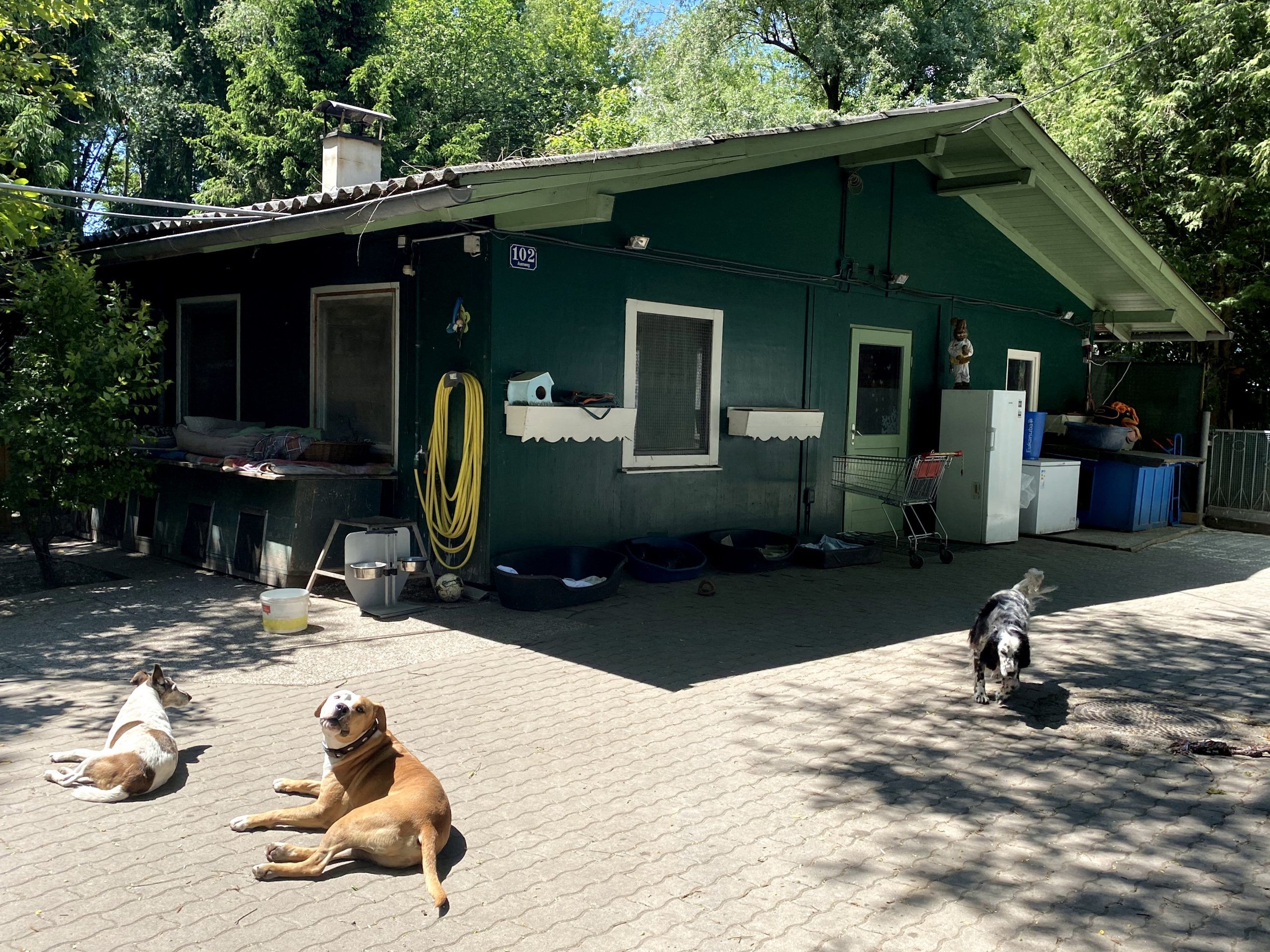 Heute.at - Häftling klaut Tierpfleger-Auto samt Igelhäusern