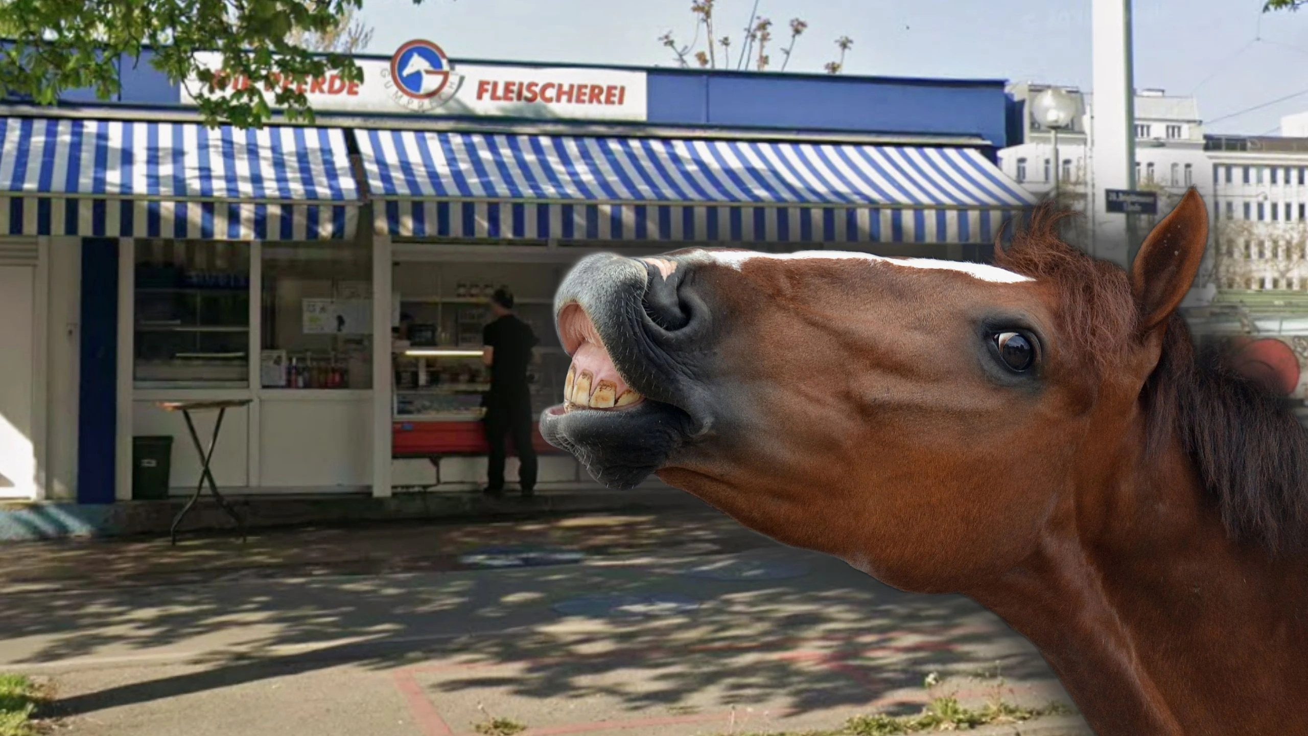 Heute.at - Wiener Pferdeleberkäse-Tradition in Pleite-Krise