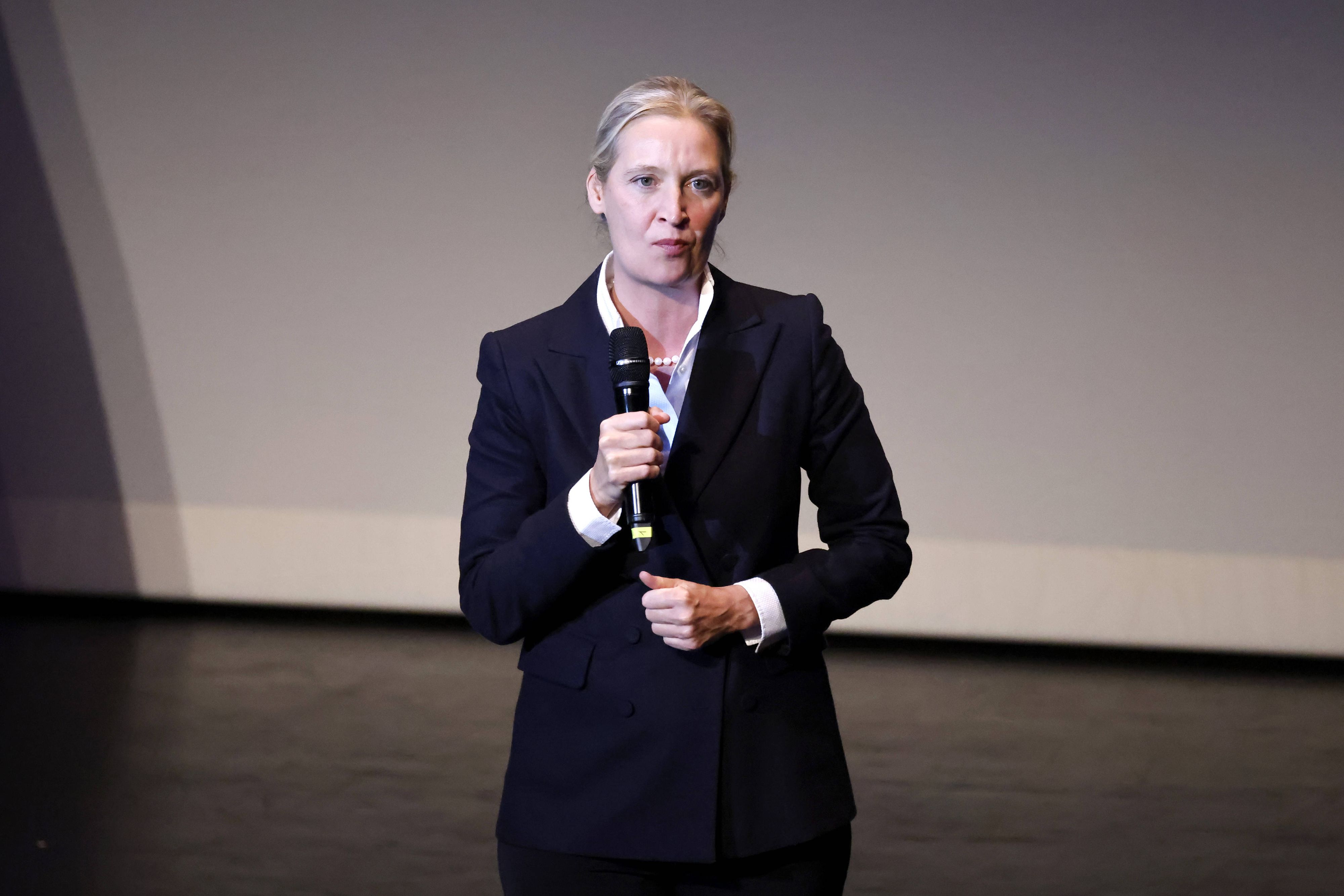 Die E-Mail-Leaks bringen AfD-Chefin Alice Weidel unter Druck.